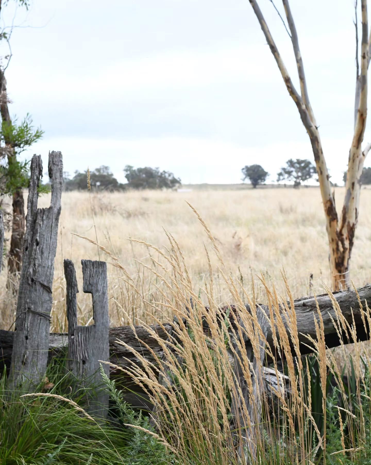 This past week has been a challenging one, spent mostly bedside with my dear Dad in hospital, and we're not done yet, rather in that awful state of uncertain limbo waiting for answers.  I'm longing to be in the garden or studio and wishing for 'ordin