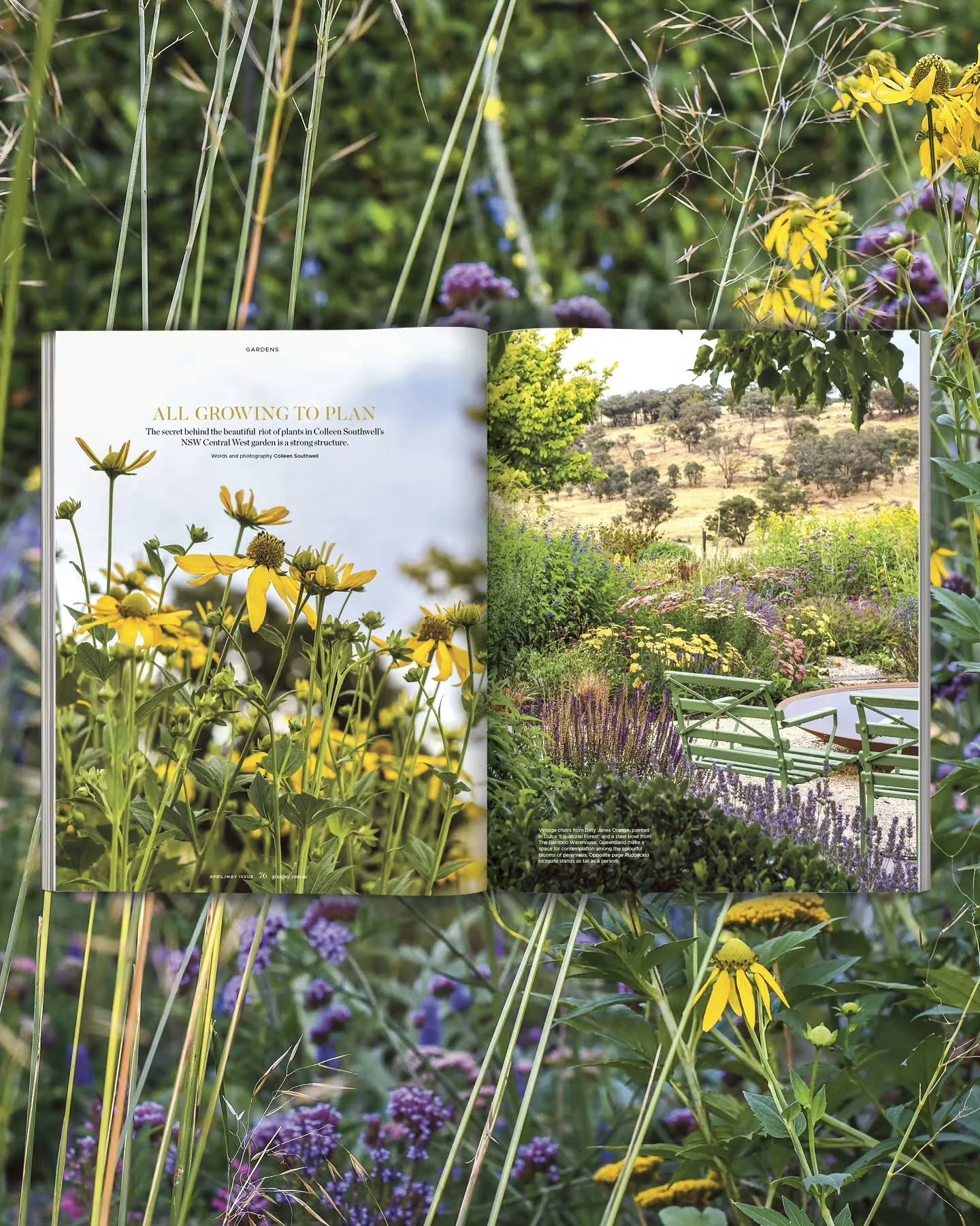 This 50th edition of @graziher magazine is a beauty.  There's my story about balancing garden abundance with moments of pause,  @theshadybaker fabulous recipes including saddlebag biscuits I can'twait to try (every time,  Jane's stories take my heart