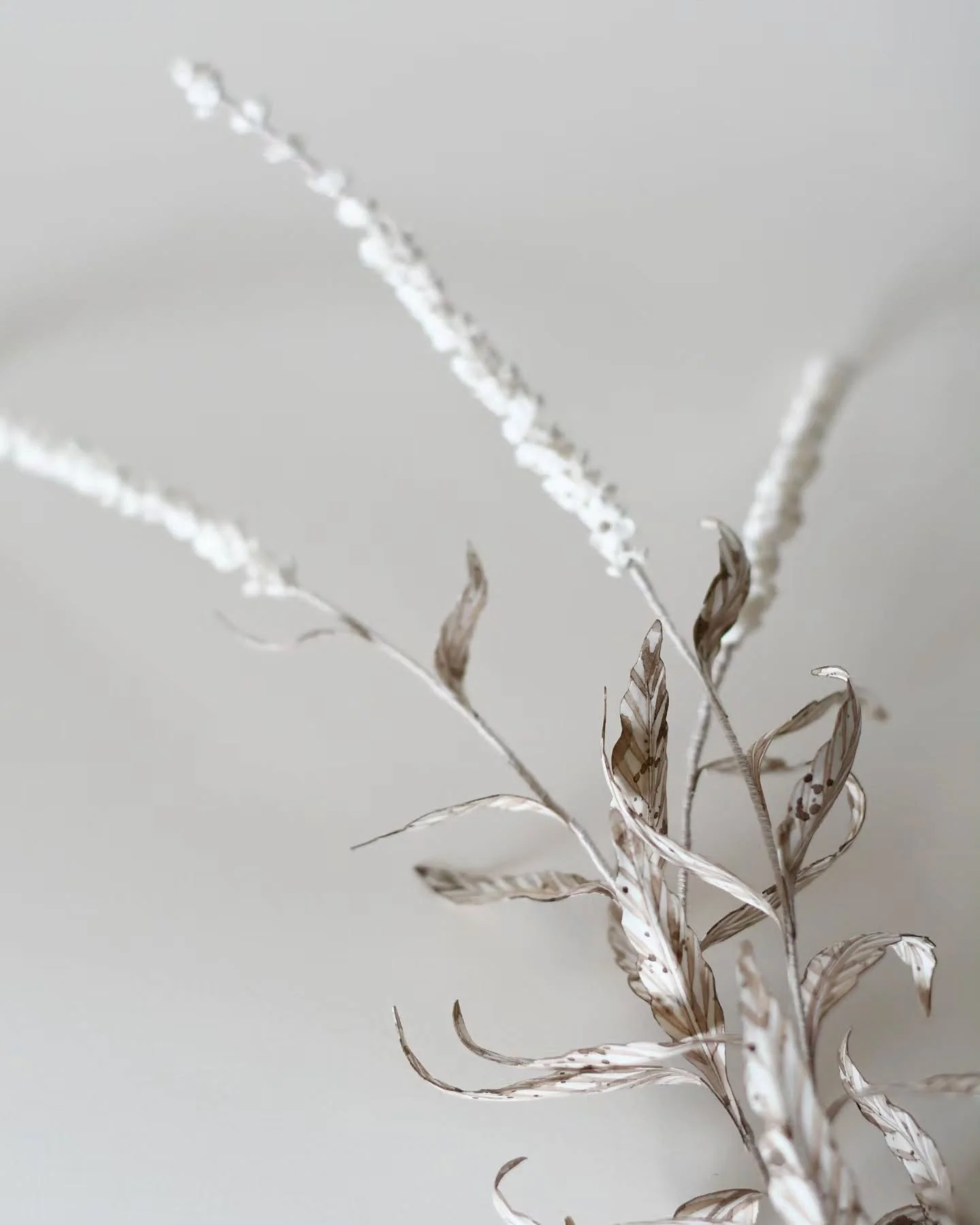 Looking closely is a door to understanding the bigger picture - all the tiny things that become part of the whole, the things rushed past, swept by, looked over. The joy and challenge of both garden and art making (of my kind anyway), is the need to 