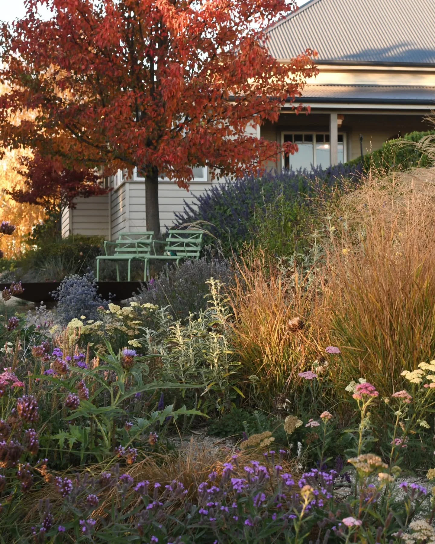 What's your favourite garden tool? Mine would have to be my camera...if you could consider it a garden tool? Taking photos of the same spot across the seasons is such a great way to understand the ebb and flow of the garden,  changing light and colou