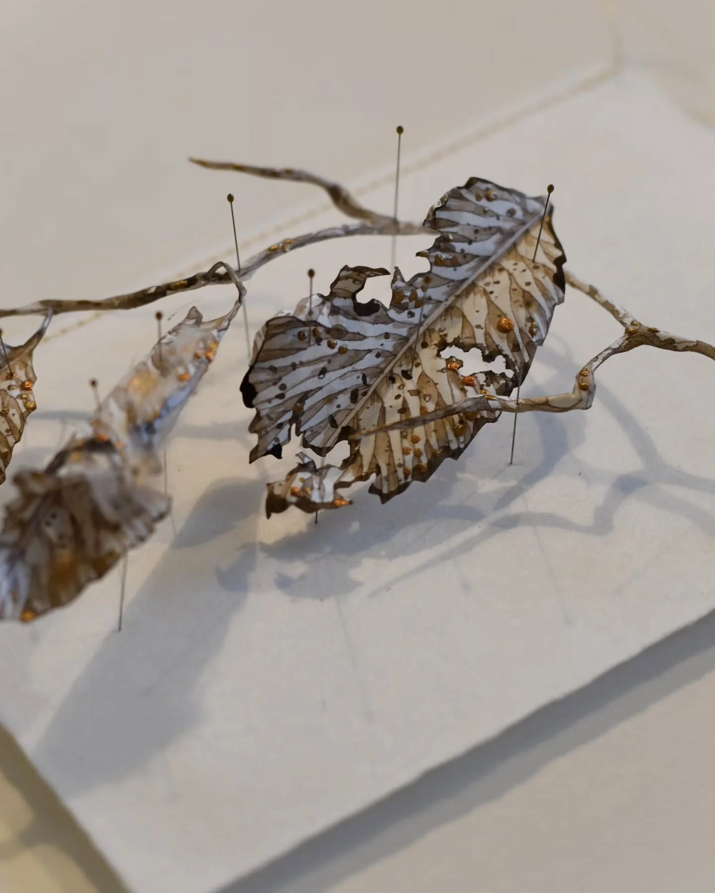 What is perfection, I wonder? It's a complex concept. In the manufactured we see perfection as being without blemish, complete, unmarked. In nature, what may be seen as imperfection is beautiful, like the skeleton structure of decaying foliage, the b