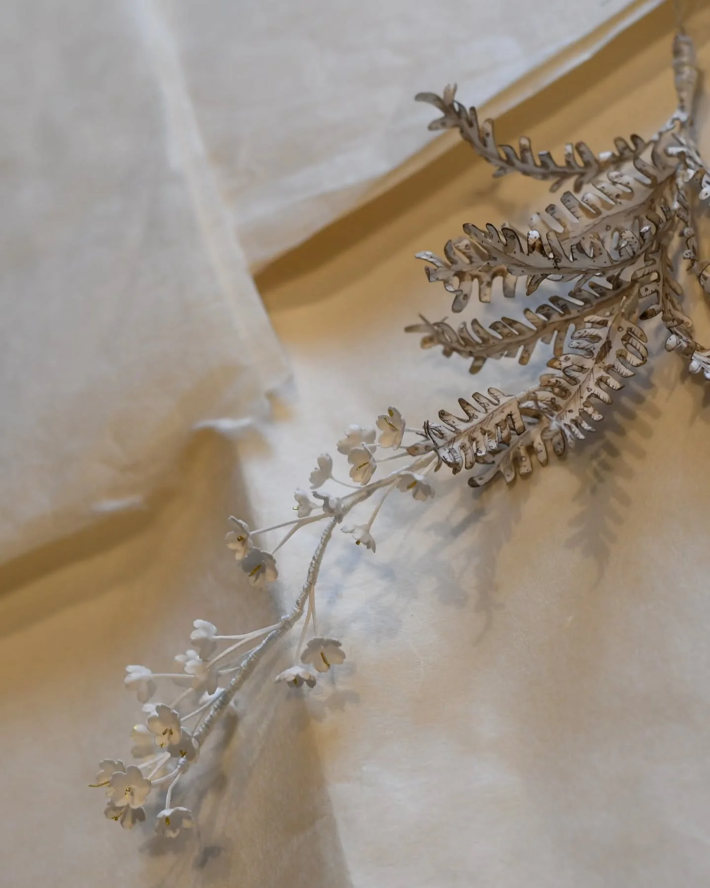 Little studio moments and lacy shadows.
The garden is turning to shadows too, laid to the ground in tea stained tones. All silhouettes and seeds.
It's been chilly today. It seems winter has arrived with the call of the calendar, as it tends to do her