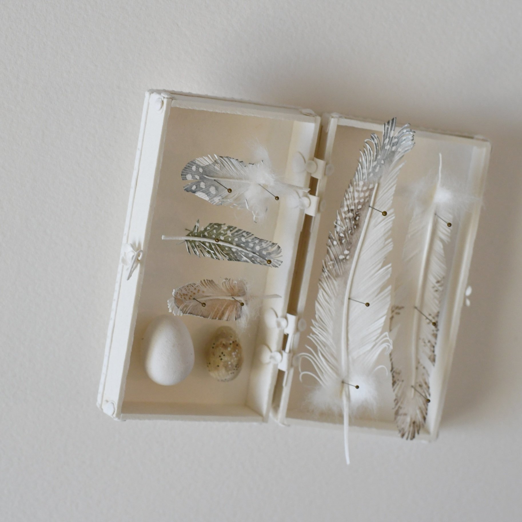 Colleen+Southwell+Jewel+Box+feathers+2.jpg