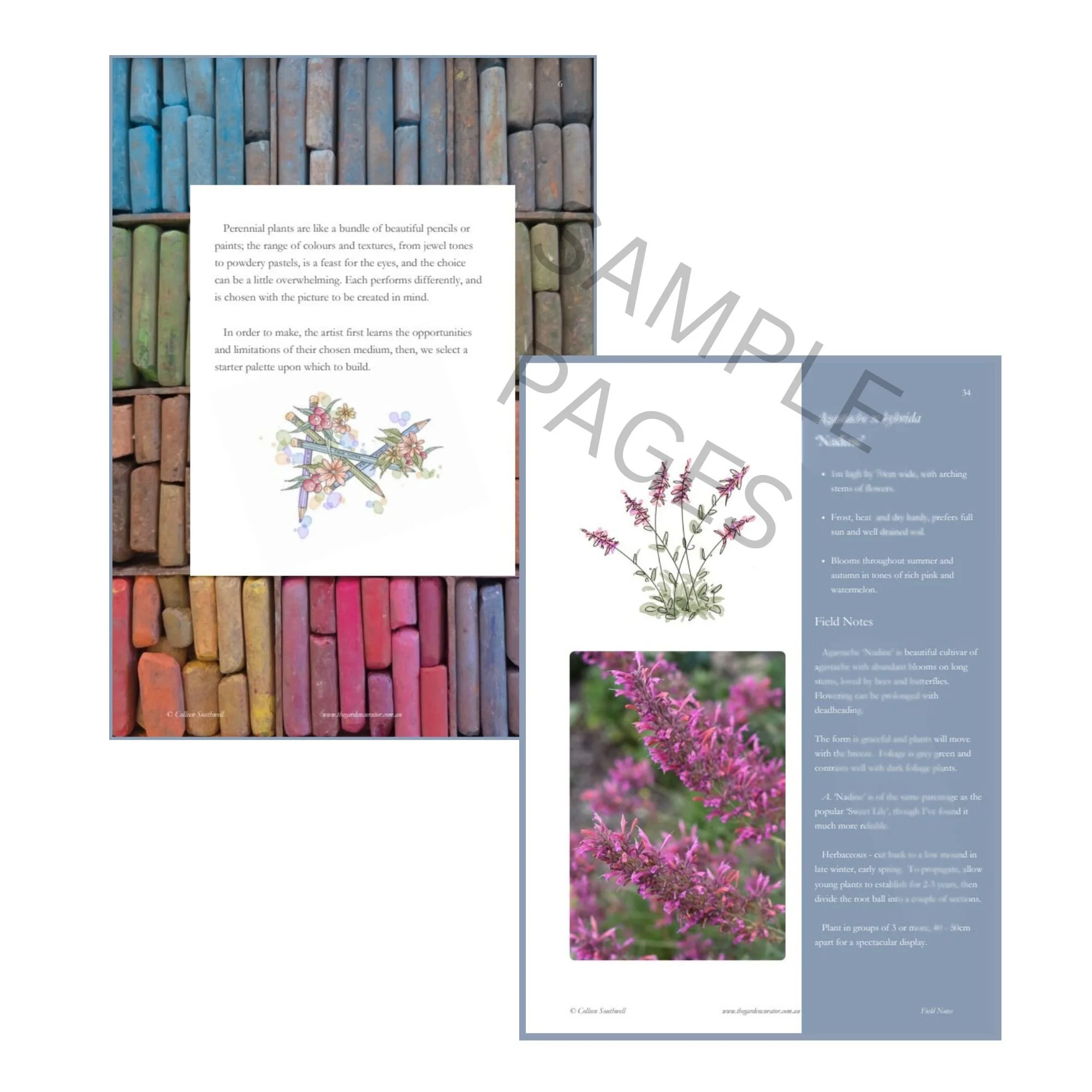 Favourite Go To Perennials web image 3.jpg