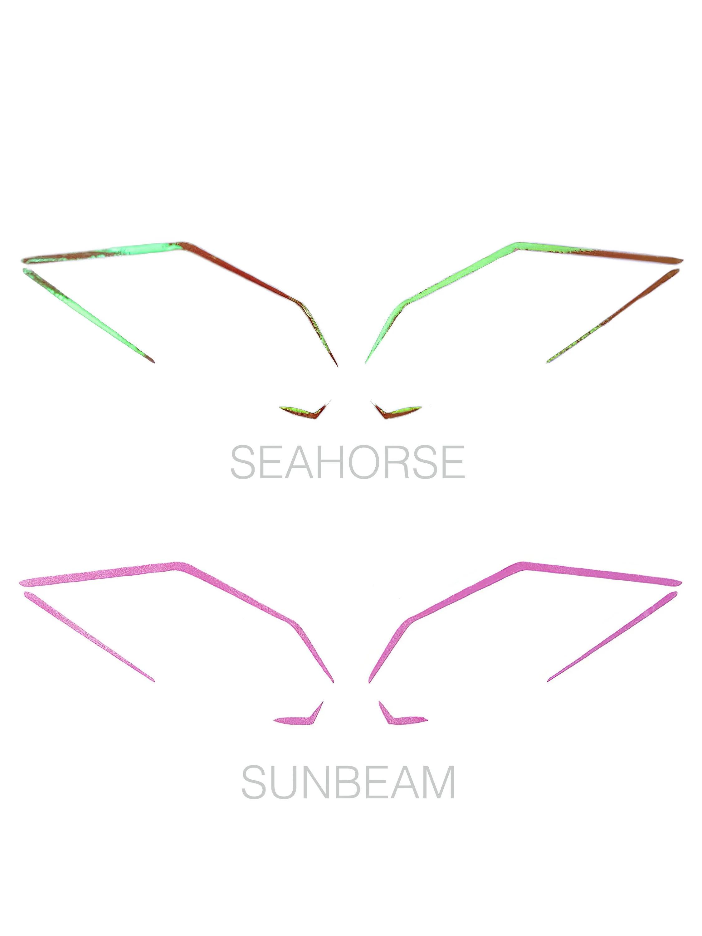 SUNBEAM & SEAHORSE COMBO 'MOONLANDING'