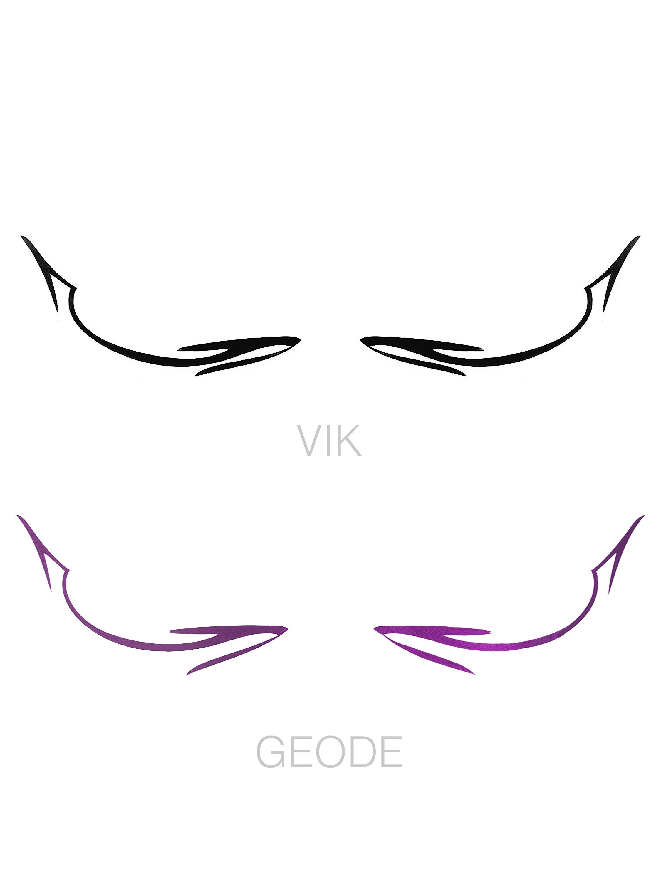 GEODE AND VIK COMBO 'DESIGNER BAGS'