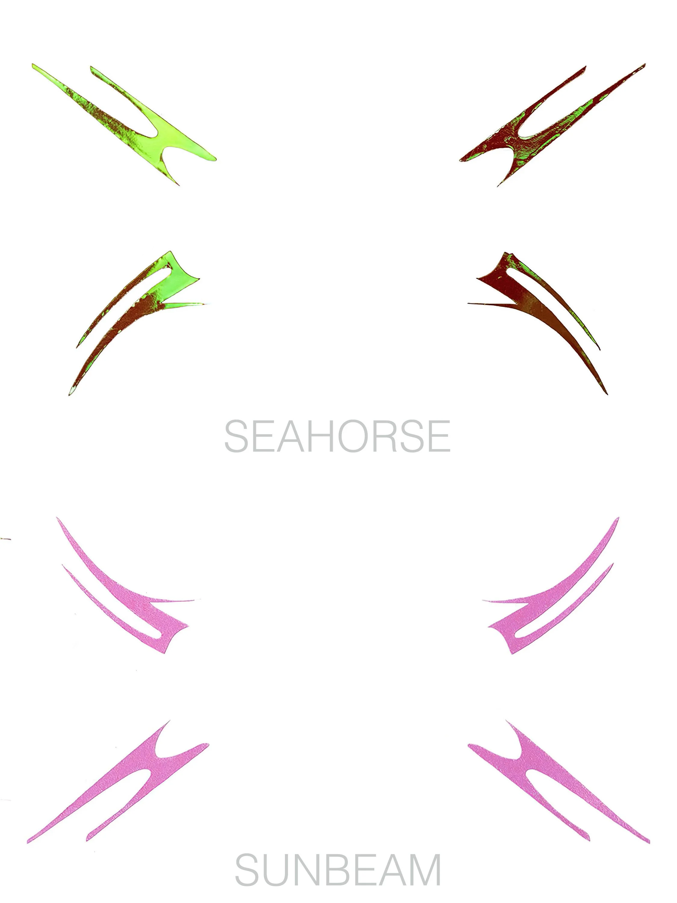 SEAHORSE & SUNBEAM COMBO 'CAUSE & EFFECT'