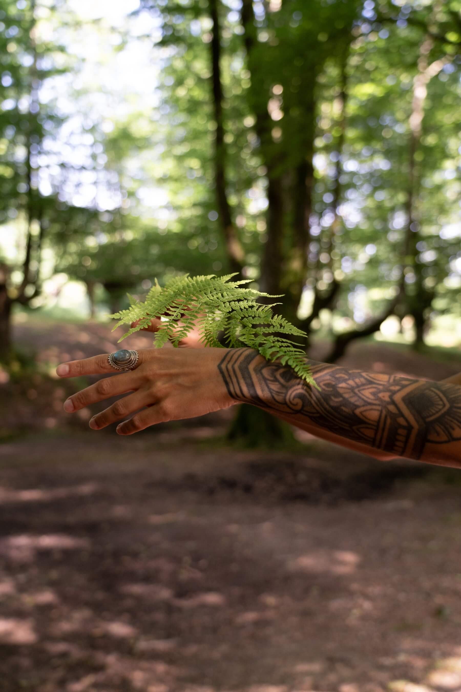 Mano de Ana sosteniendo una rama