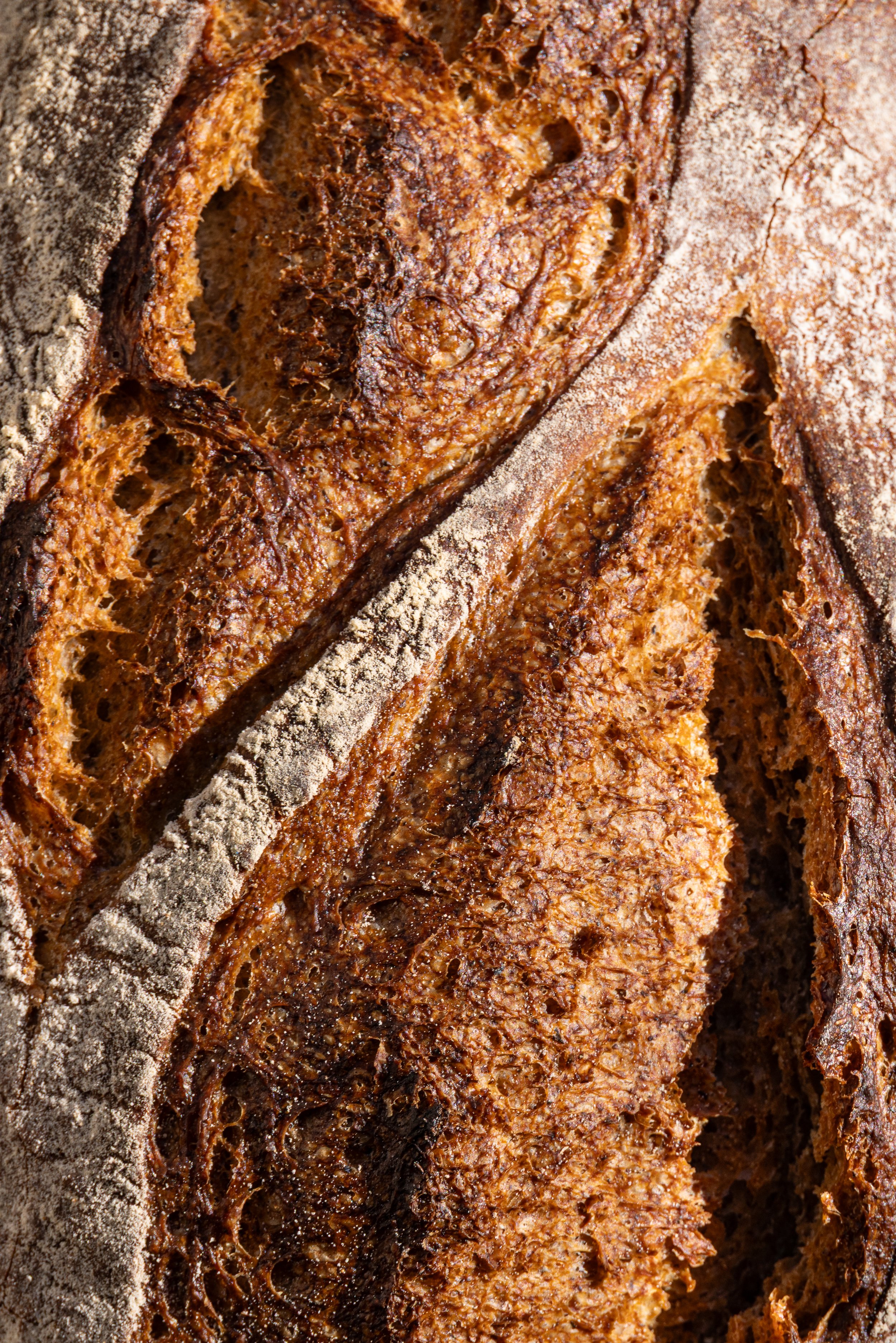 Bread, Country Multigrain (Miche), Batard -5.jpg