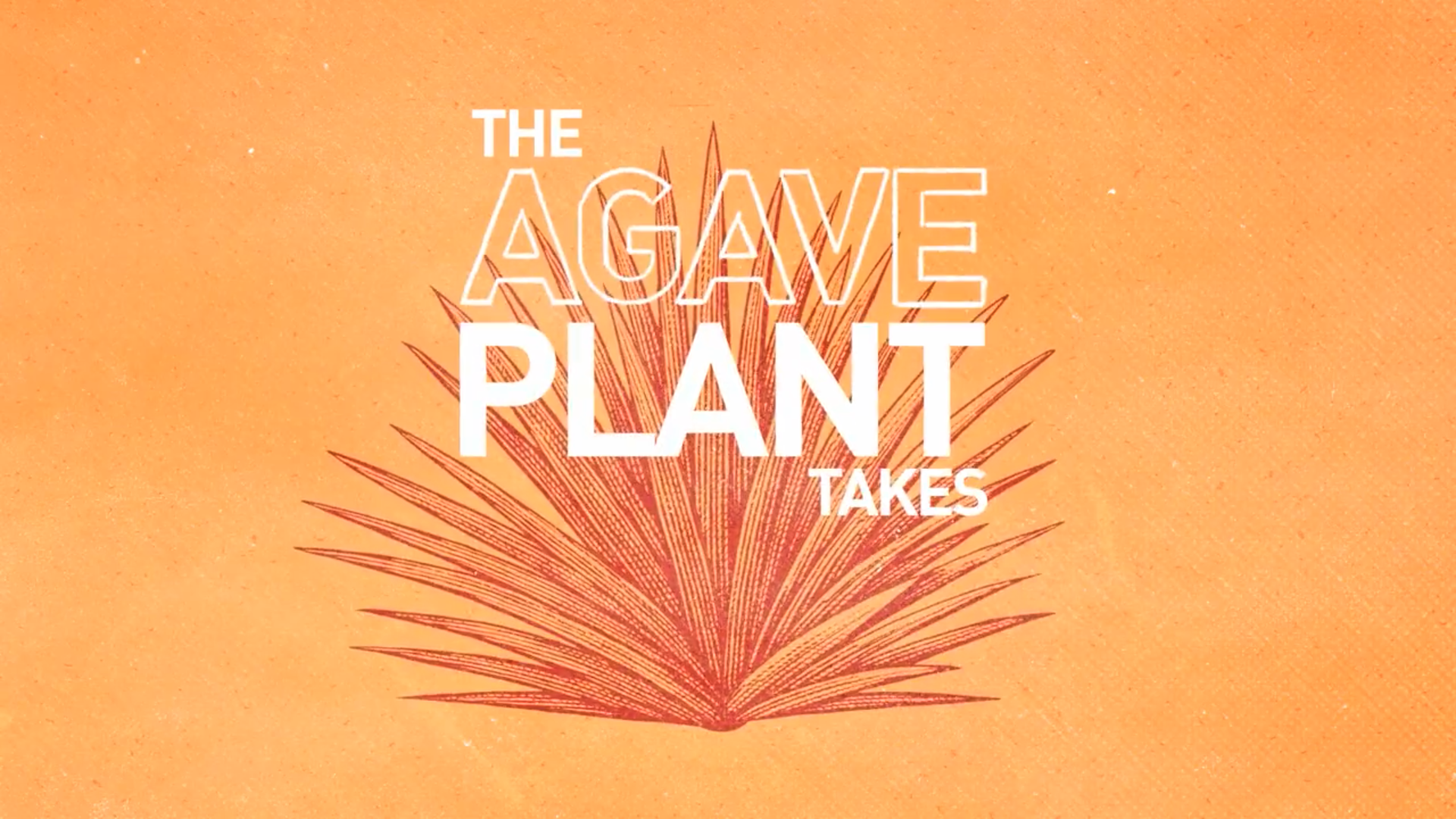 Screenshot 2026-01-15 at 4.11.52 PM.png