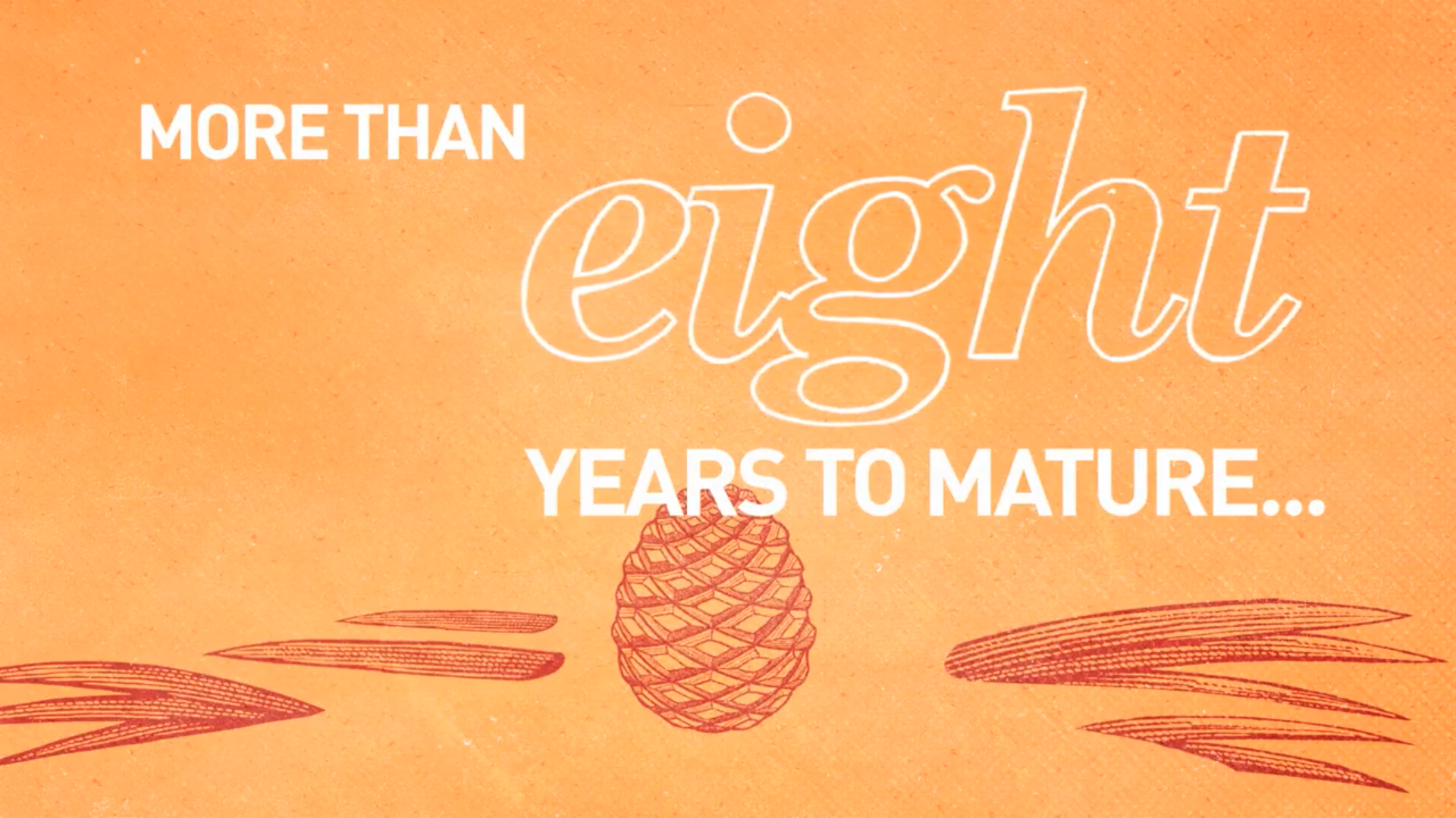 Screenshot 2026-01-15 at 4.12.28 PM.png