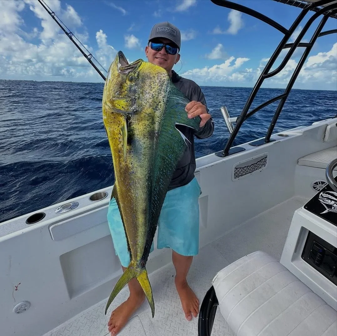 When the best of a pelagic haul = the best sampler plate. 👌🏼 No complaints from #TheNavy crew for Capt. Kris Marin putting them onto some lit up wahoos and this hearty dorado! 🐂 ⚡️ 

📸: @kris_marin