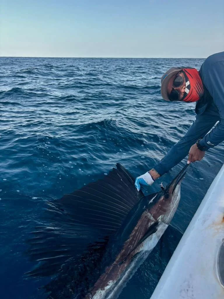 #StarKissed got themselves a #Sailfish yesterday! 💥 Fought, landed, and safely released all in front of Ambergris Caye&mdash;thanks to Tino and the handiwork of their Capt. Johnny. Pretty unforgettable for their guests onboard for a photo op, includ