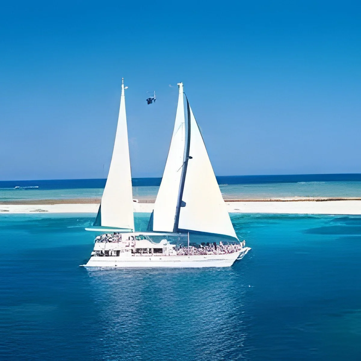 Ocean Spirit. Captain, Ocean Spirit Cruises, Dec 1991–Mar 1993. Daily Great Barrier Reef cruises.