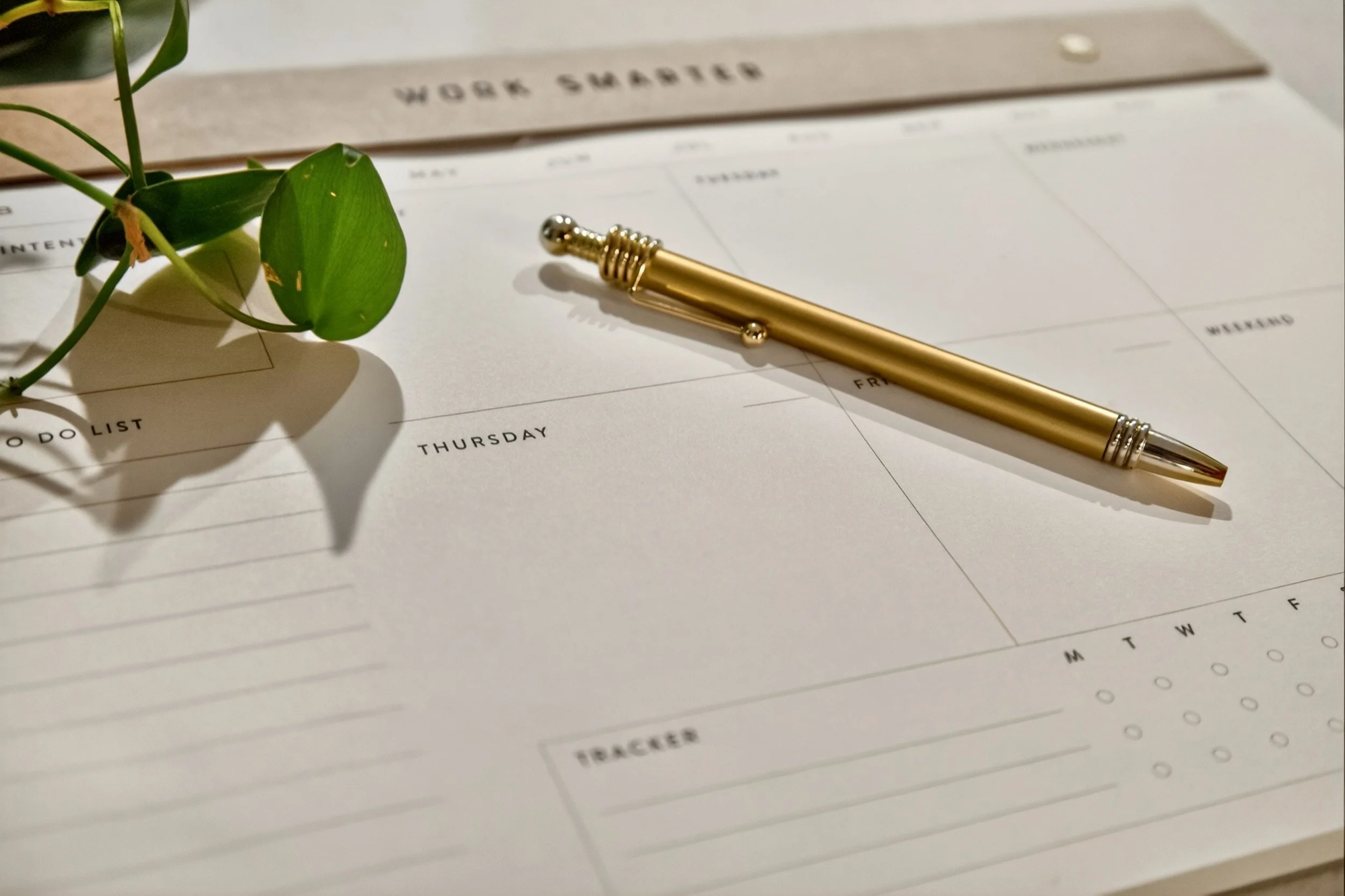 Household Schedule