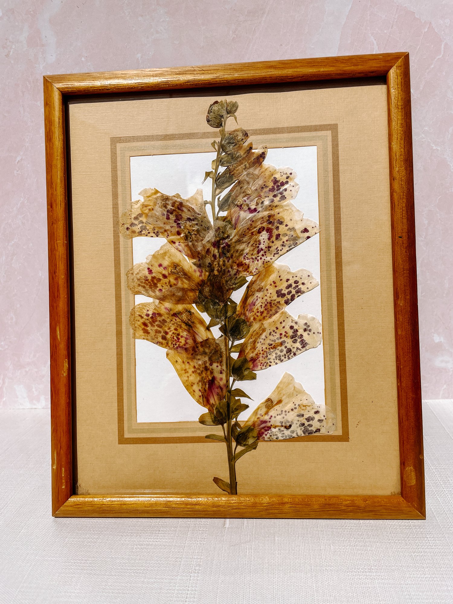 Mixed Leaves & Flowers Pressed Flower Frame, Pressed Dried Flower Frame,  Herbarium Floating Frame With Pressed Dried Flower 