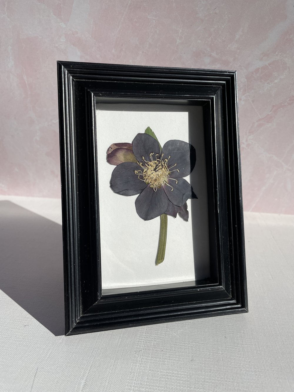 Pressed Black Flower Frame — Black Botanical Press