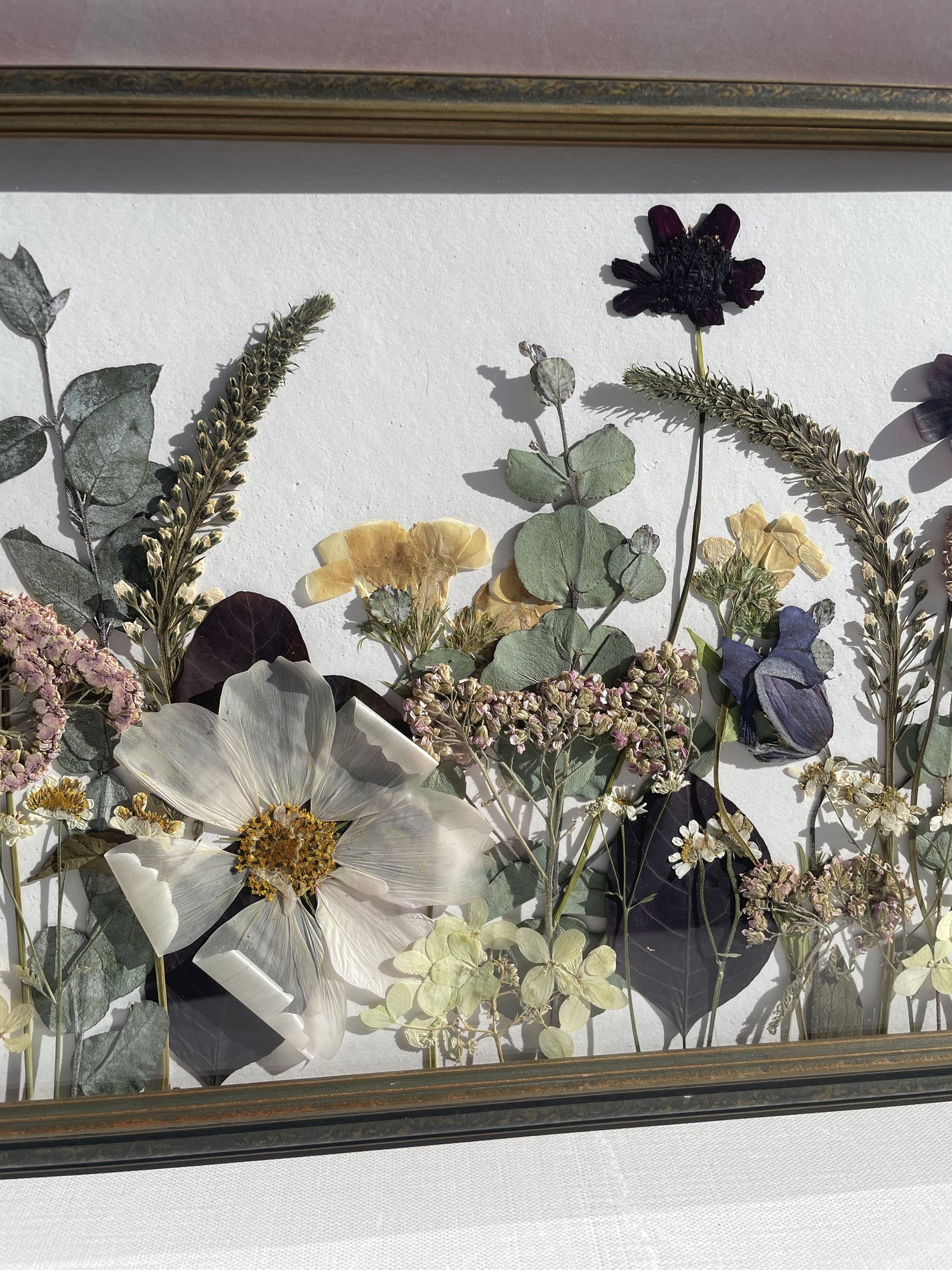 Pressed Flower Shop — Black Botanical Press