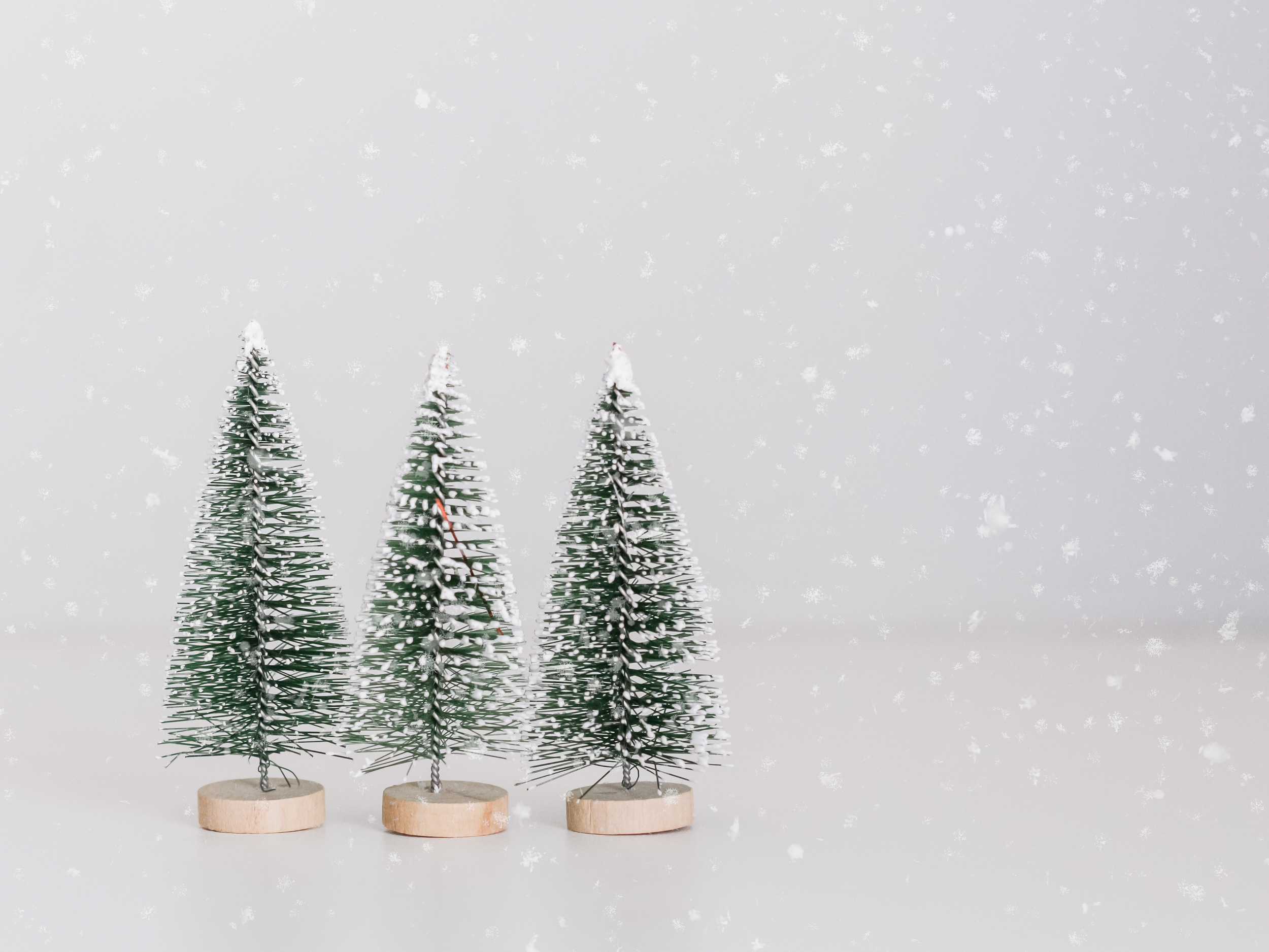 22 Days of Xmas | Day 16 | Gaia Herbs | Black Elderberry Syrup