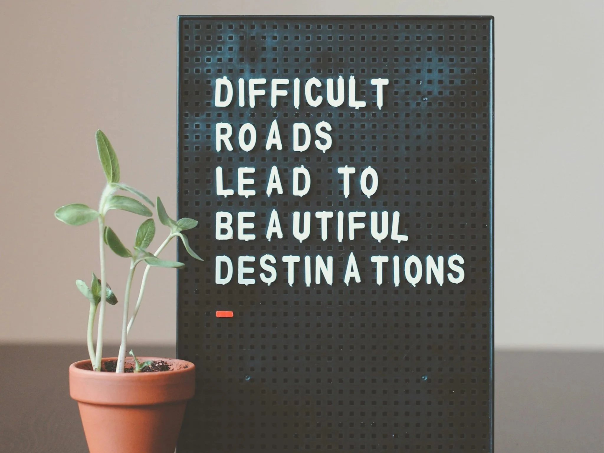 How to Grow Sustainably: A Practical Guide to Lasting Personal Growth