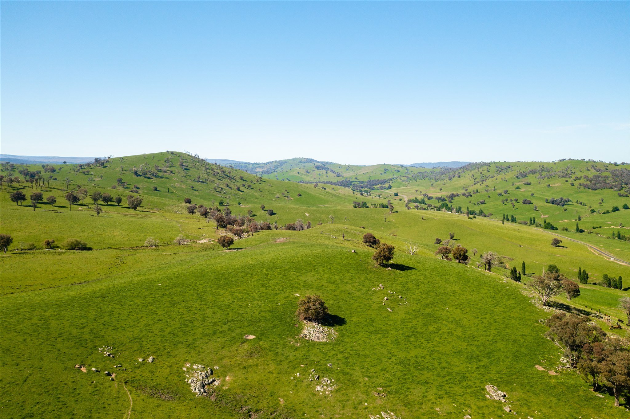 DJI_0218.jpg
