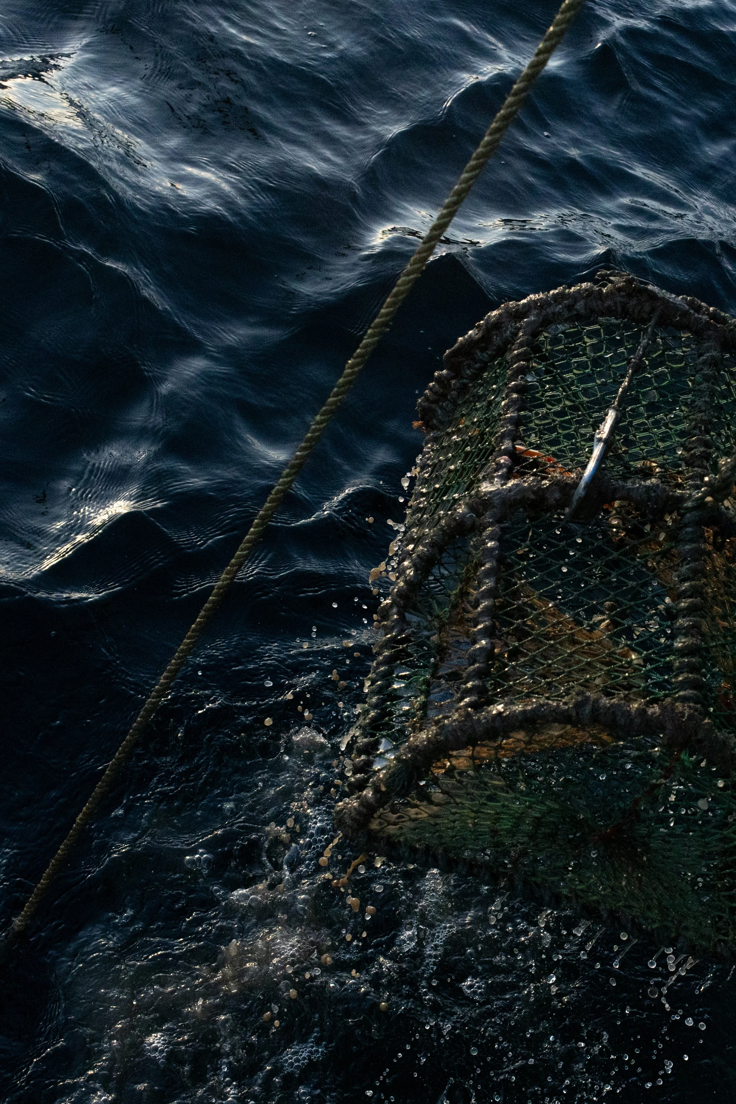 A creel is pulled up from the loch.