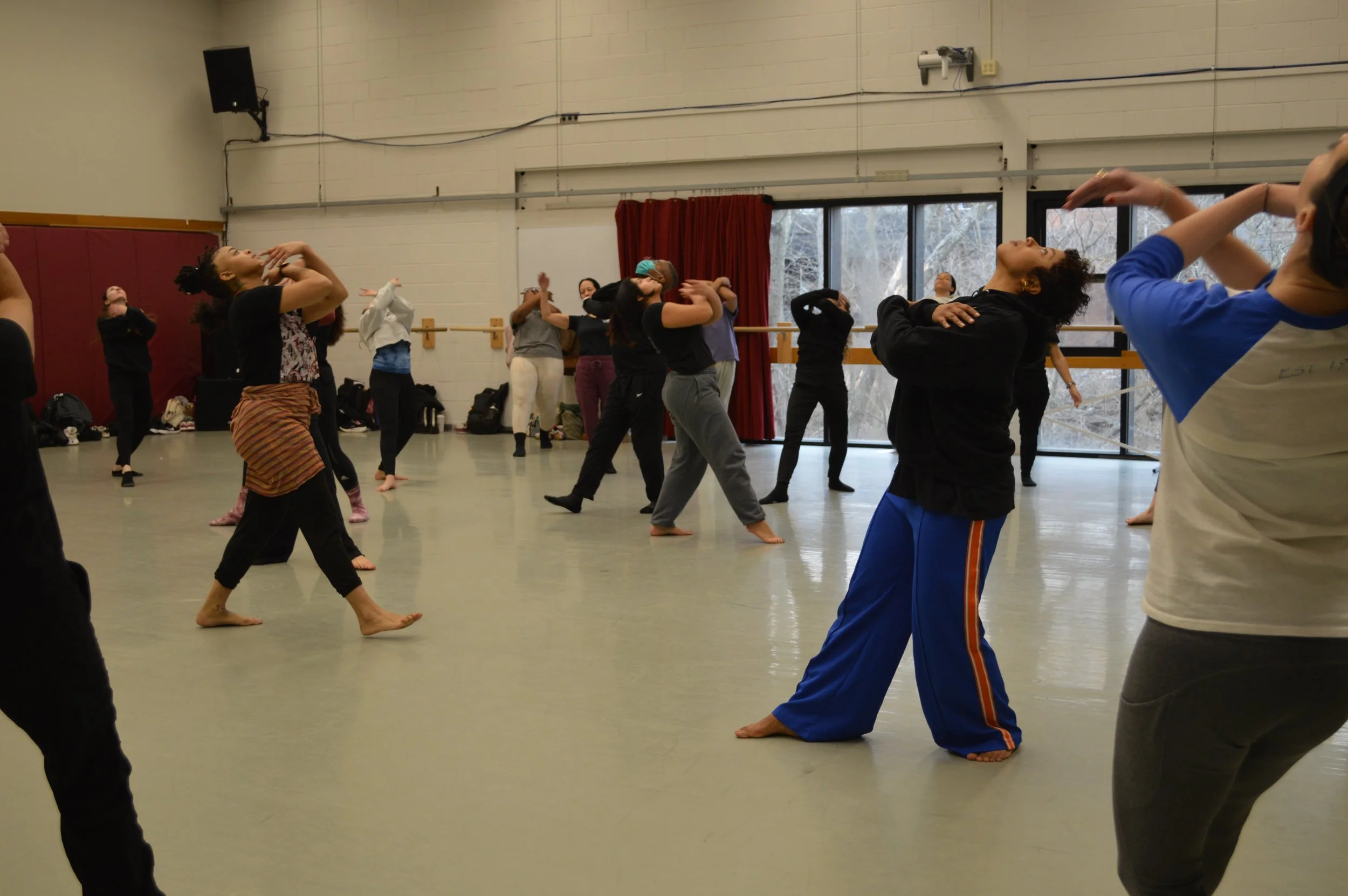 Workshops/Trainings — Dance New Jersey