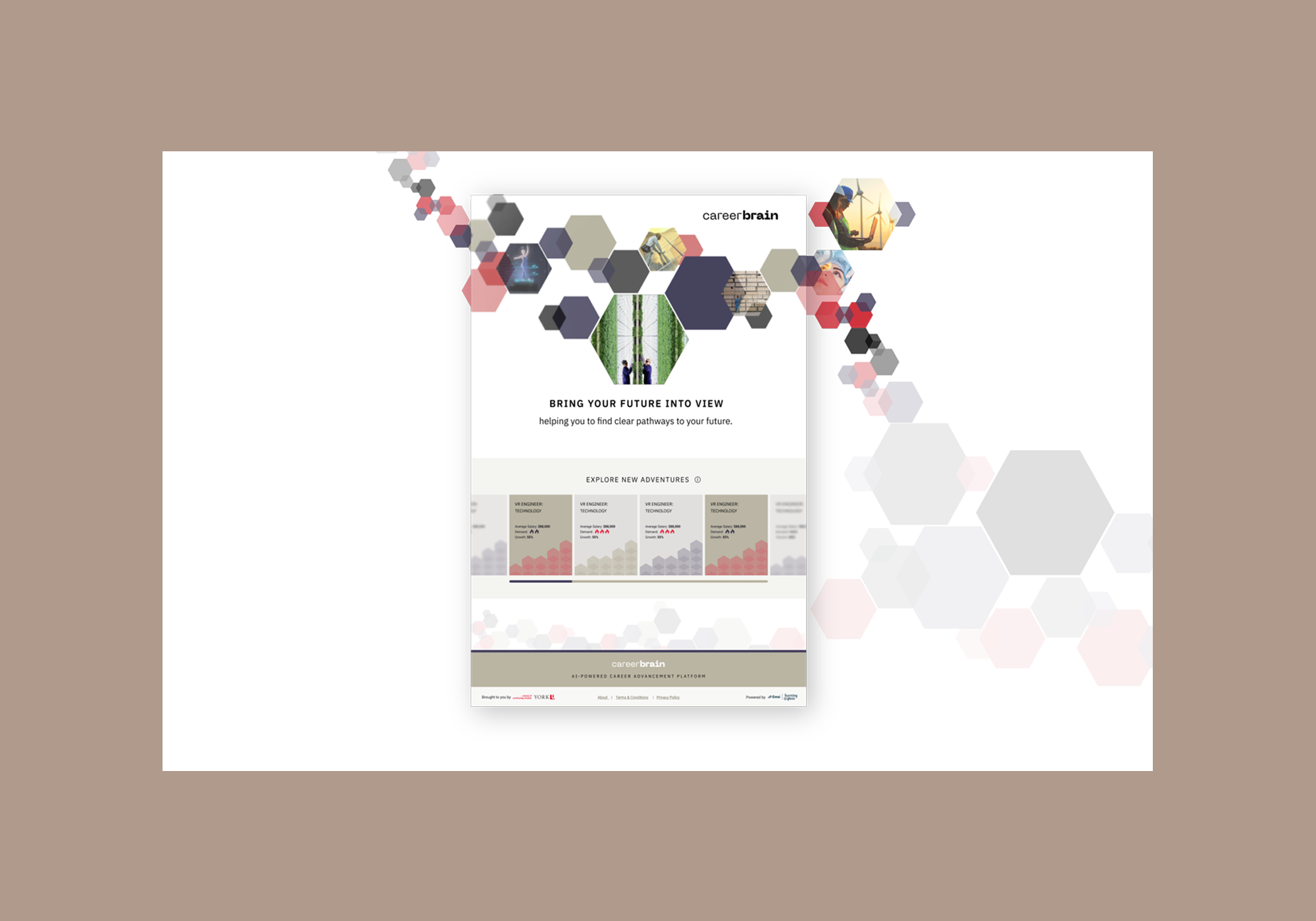 careerbrain_styleguide_02.png