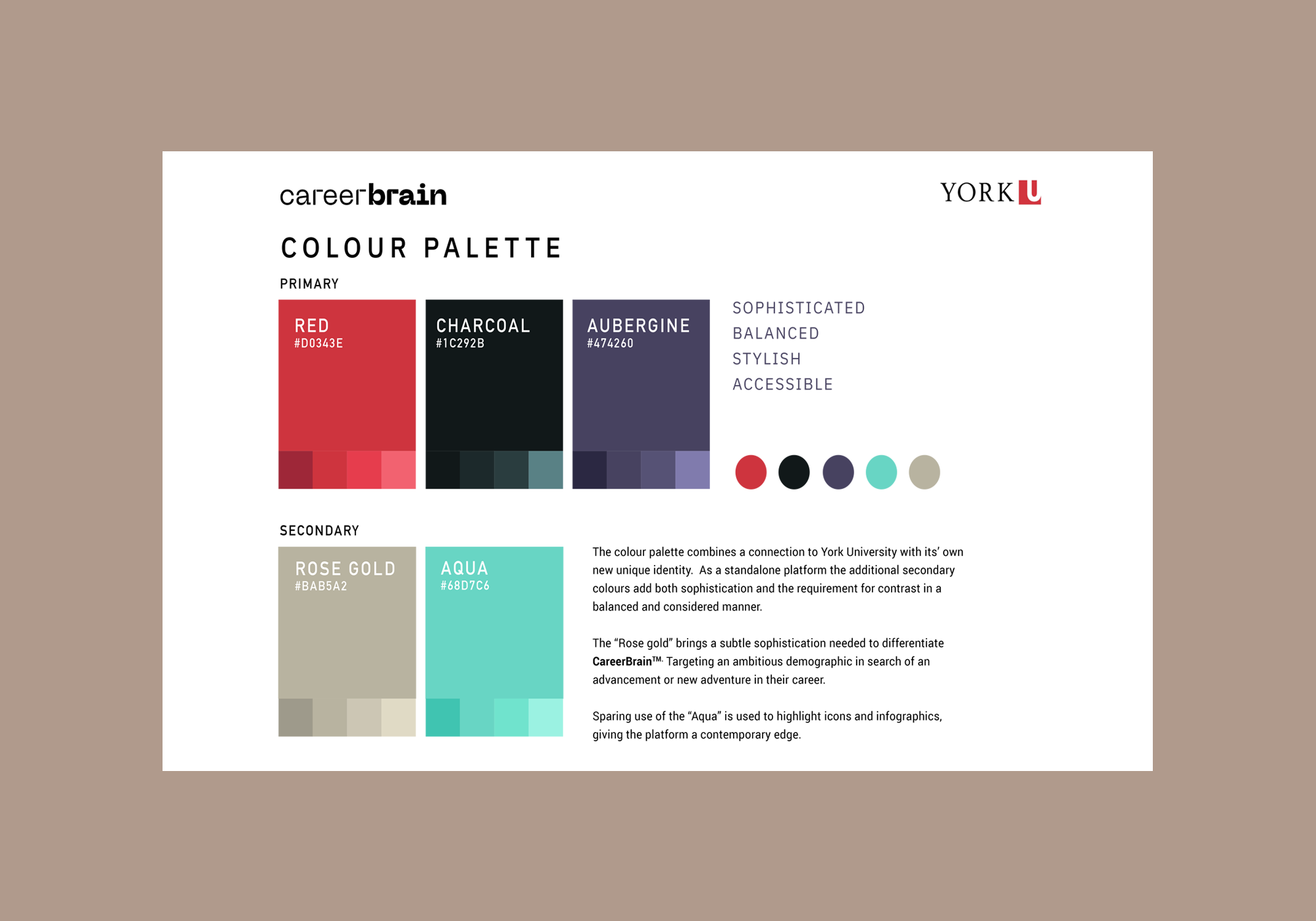 careerbrain_styleguide_01.png