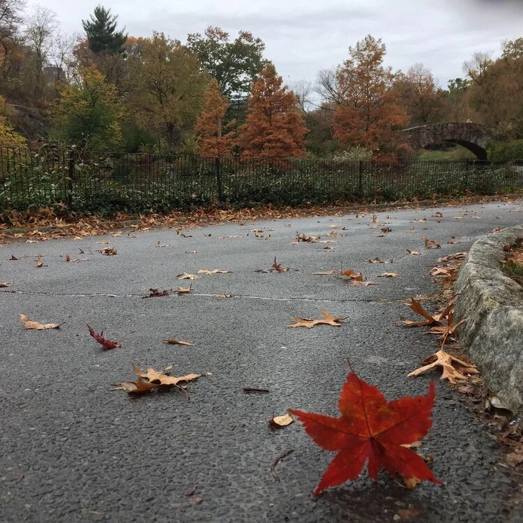 “Não há mal que sempre dure, nem bem que nunca se acabe”