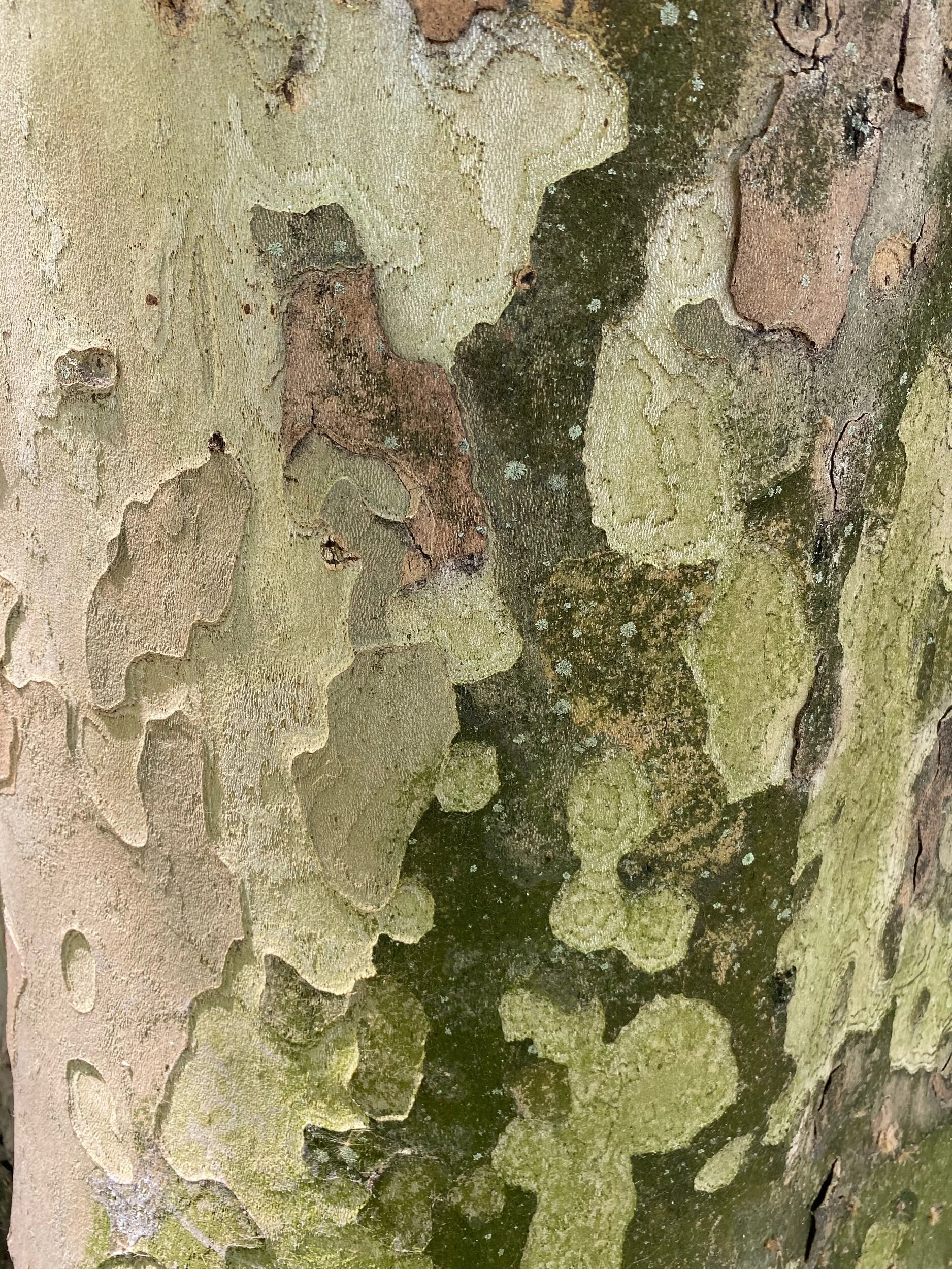 A beleza da imperfeição