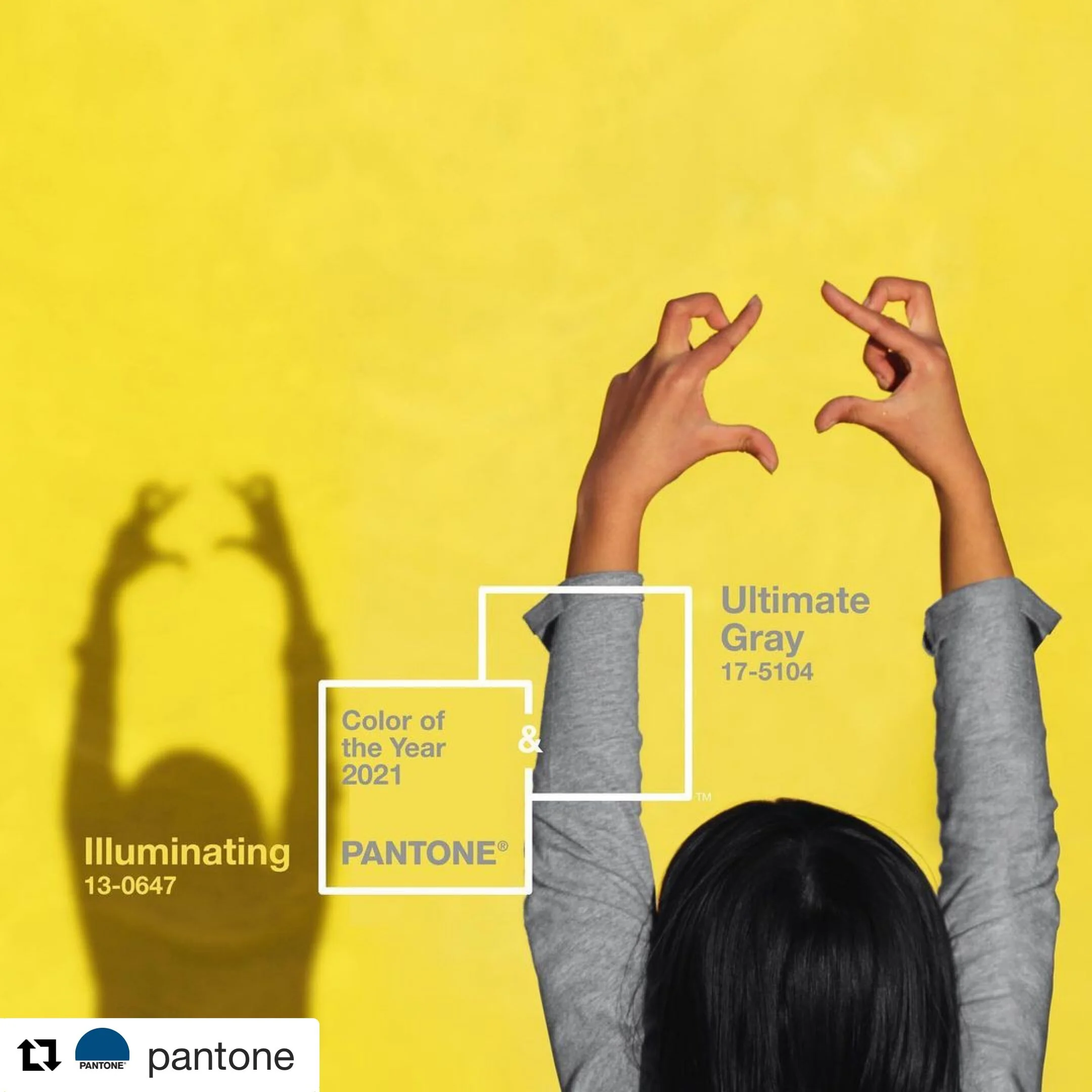 As cores do ano para 2021