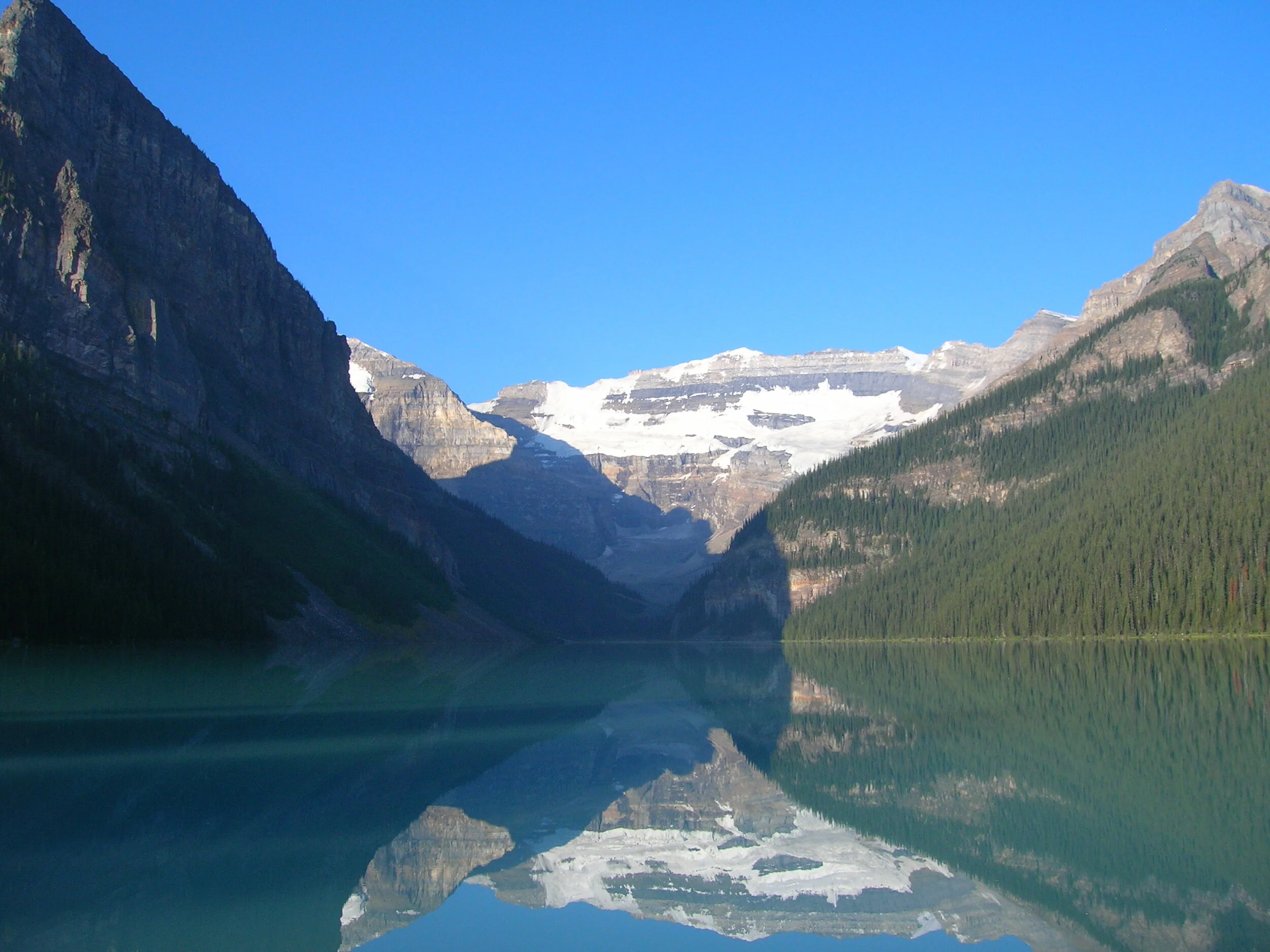 O ano do Boi de Metal