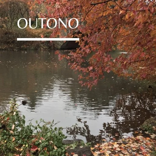 Desapego não é lixo!