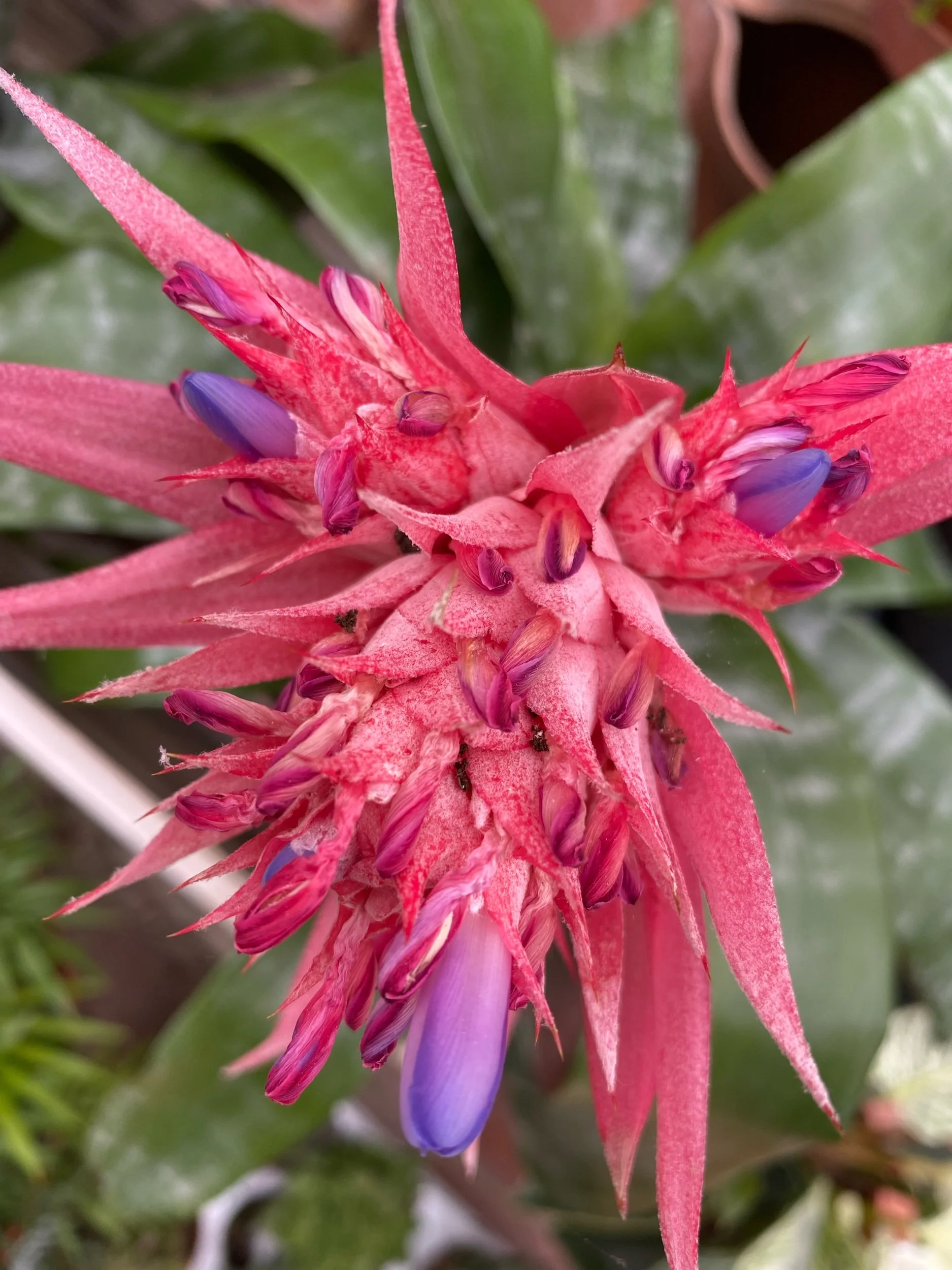 Um gesto vale mais que mil palavras