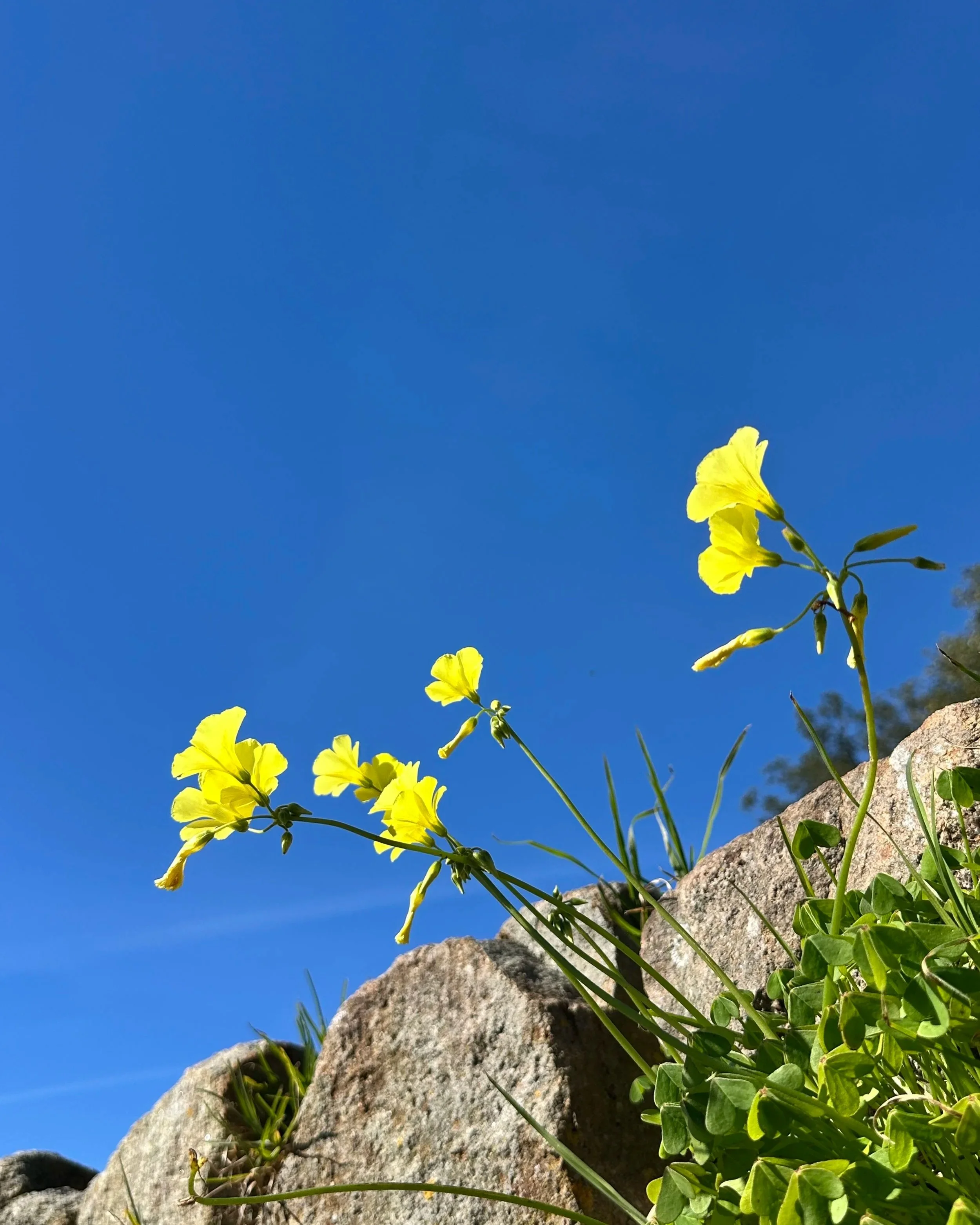 Final de ciclo, oportunidade para recomeçar 