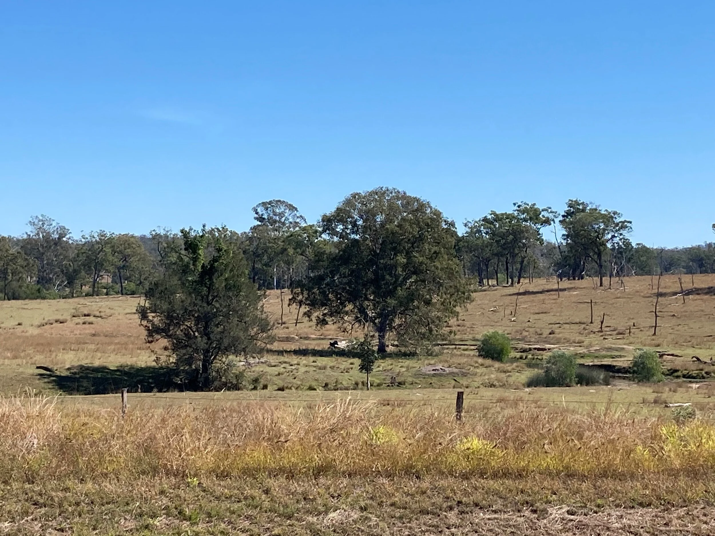 Brooweena country.jpg