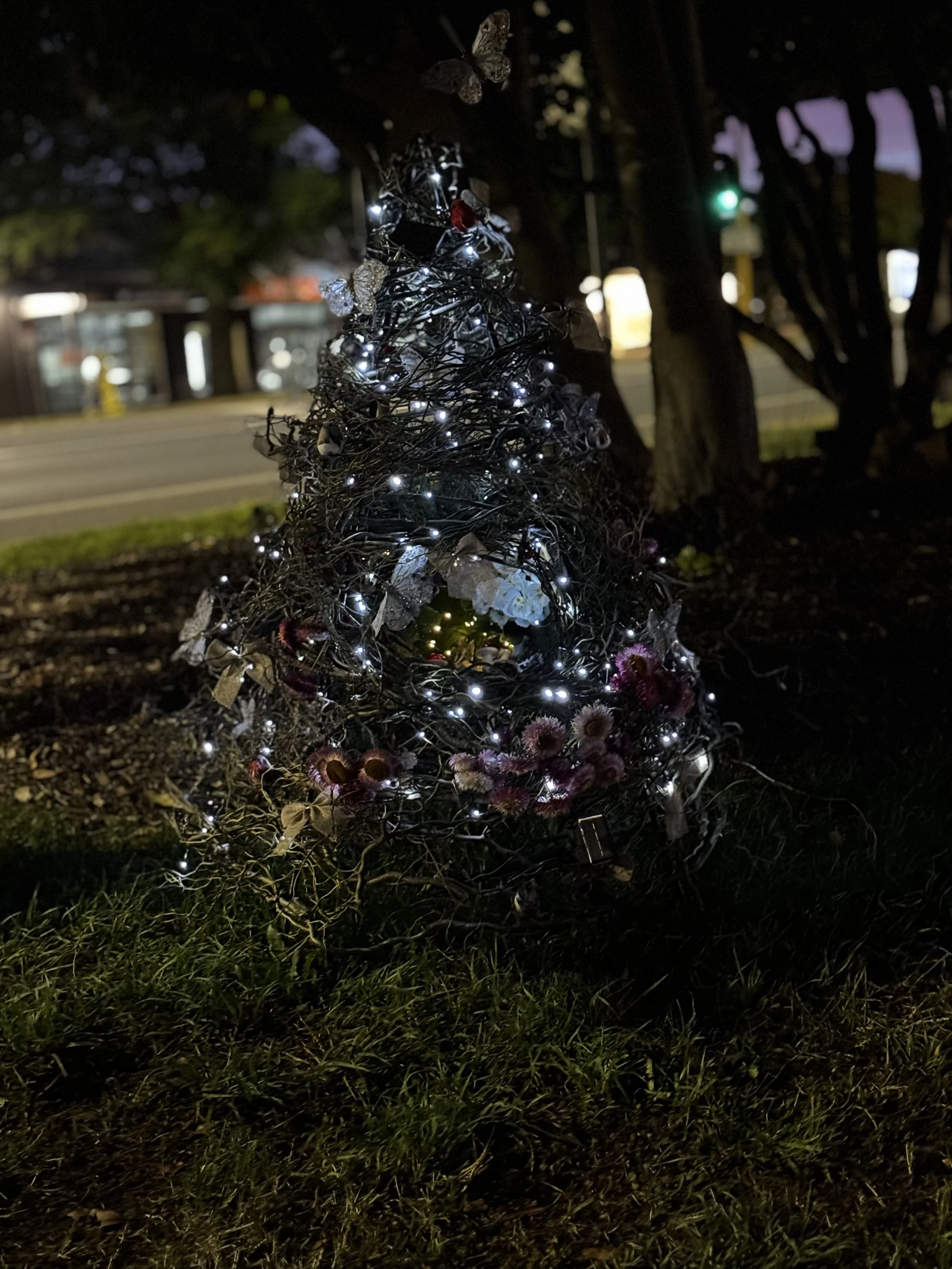 IMG_0432.jpeg