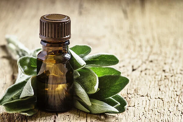 aromatherapy_600x400px.jpg