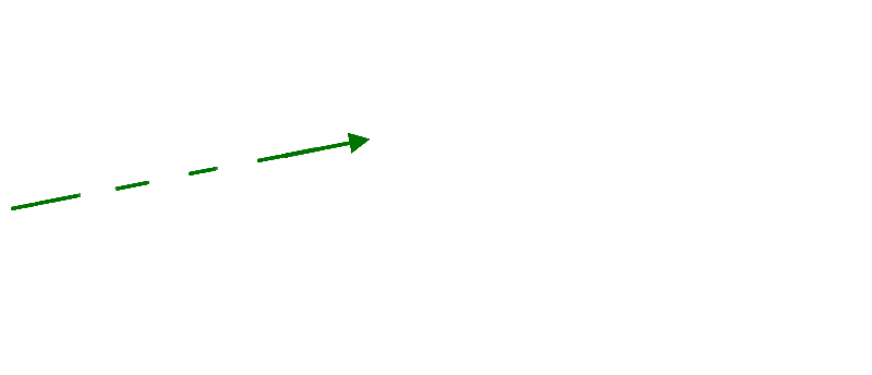 Neutrino Solutions