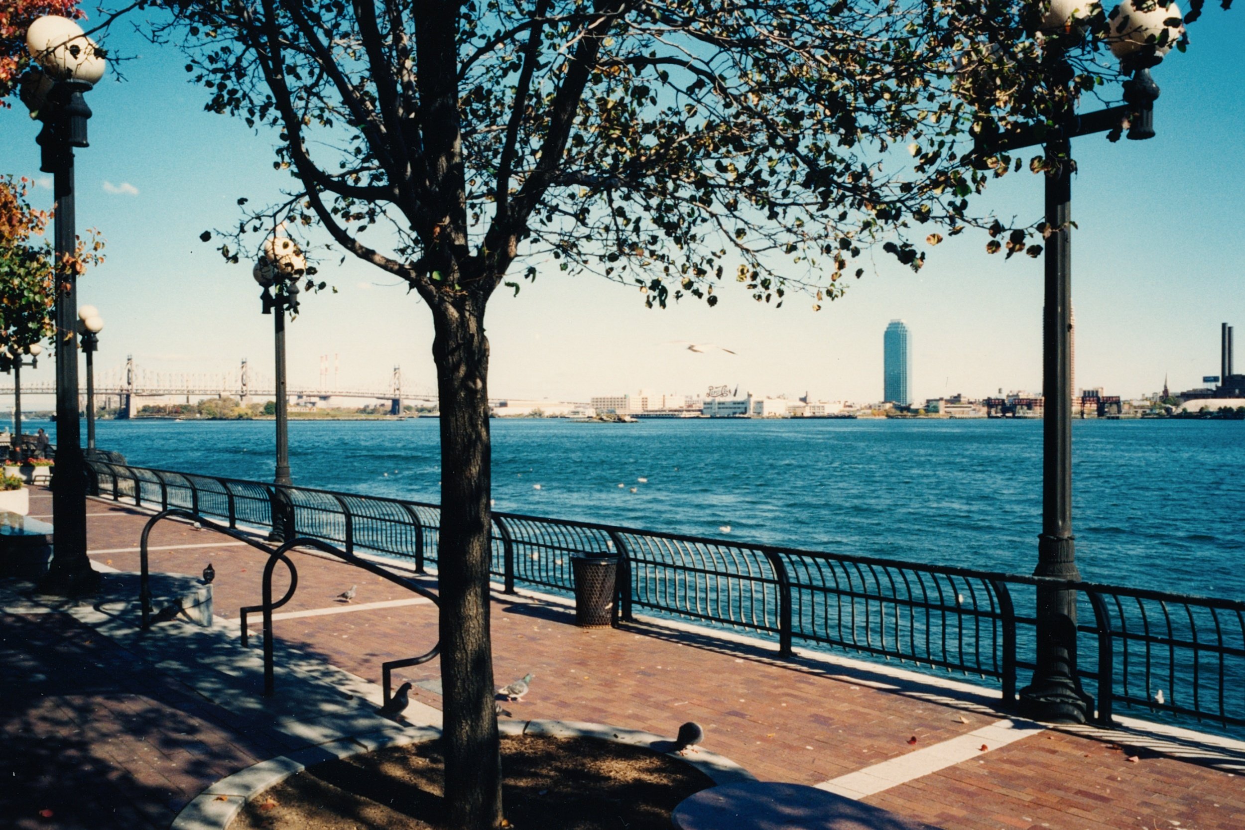 NYC_Col_03.jpg