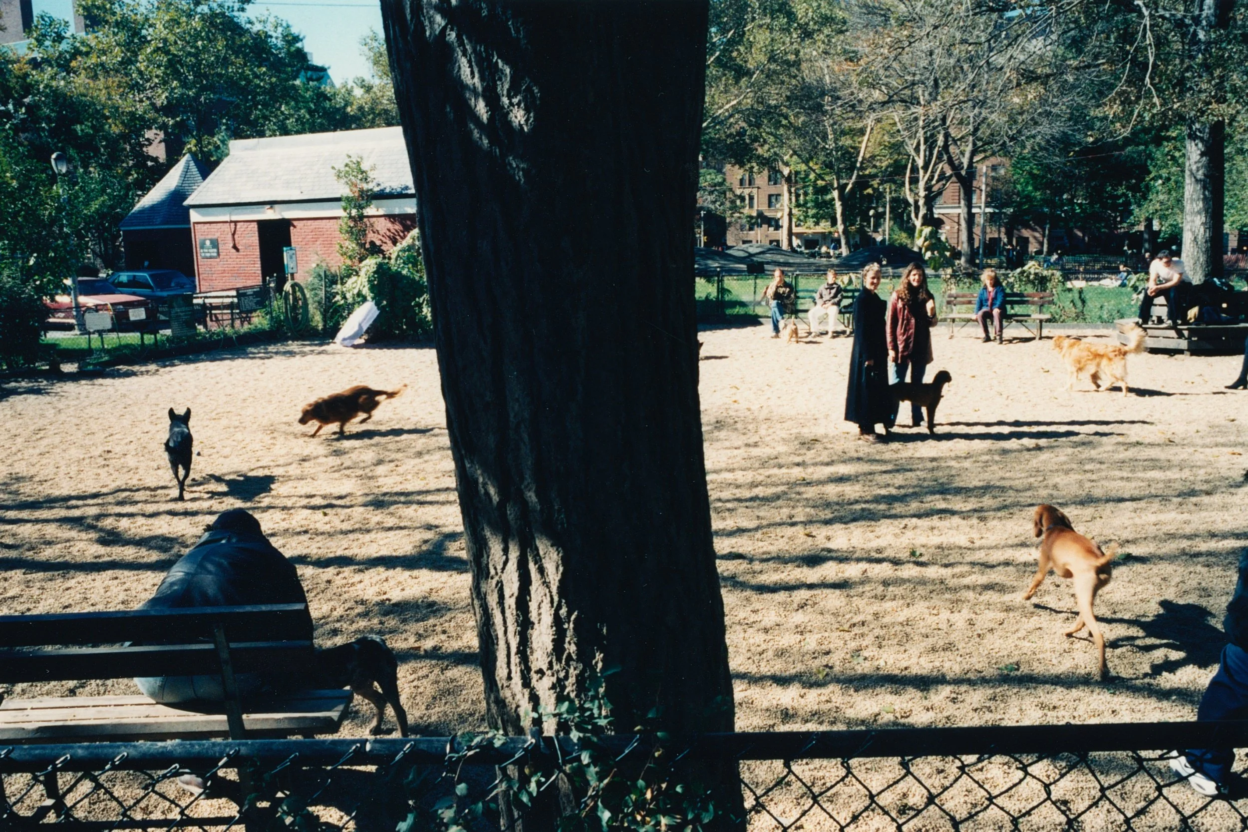 NYC_Col_06.jpg