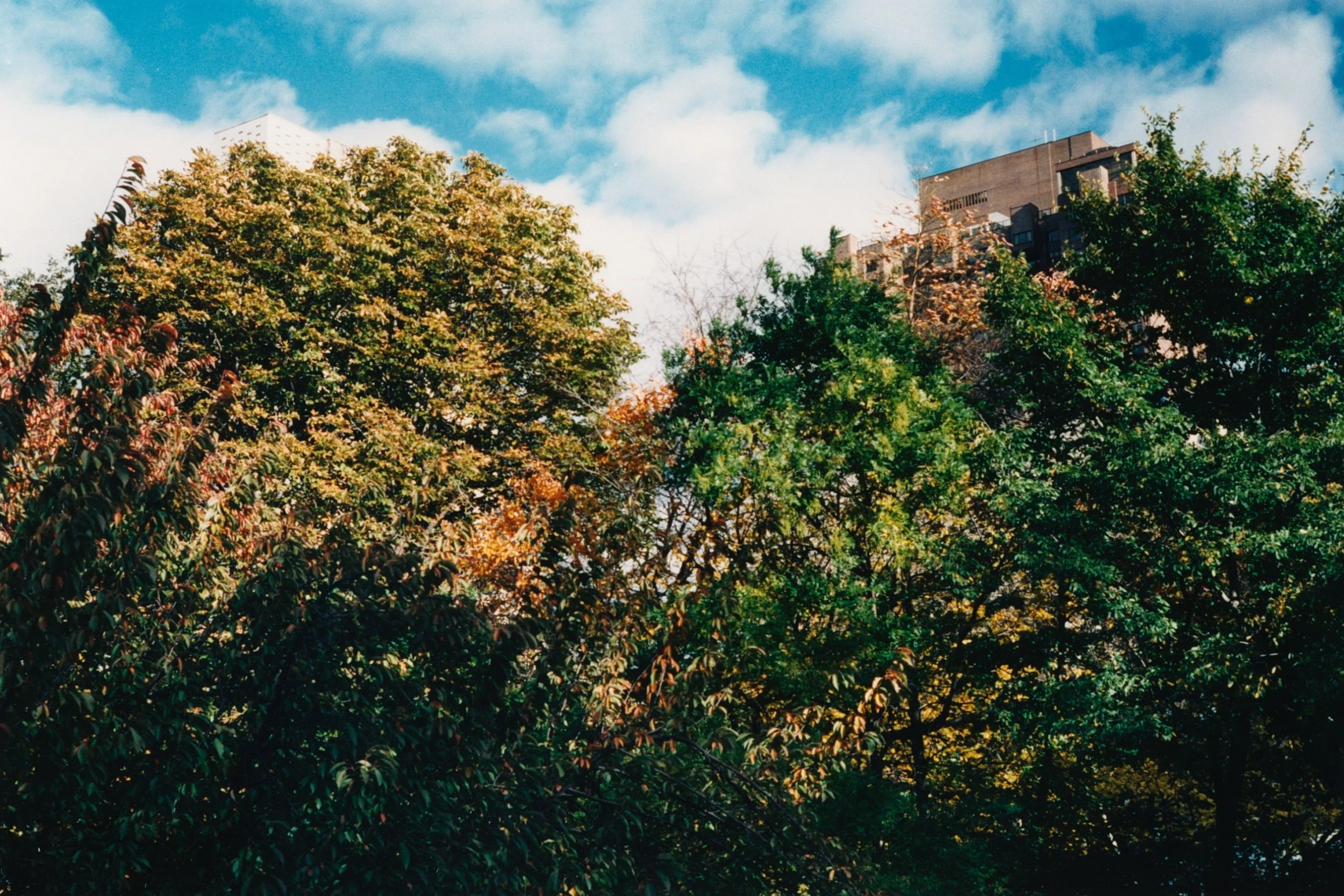 NYC_Col_08.jpg