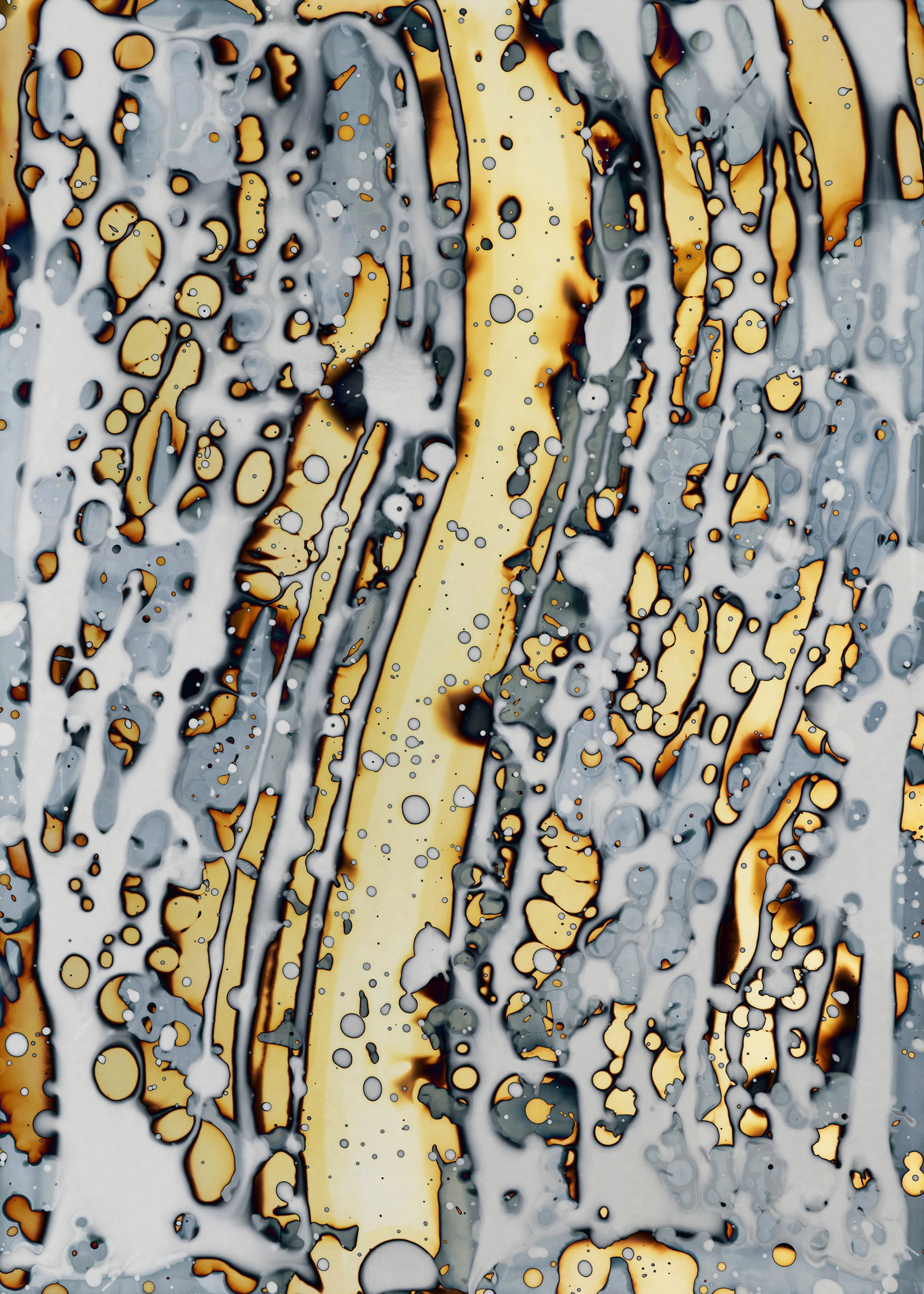 Entangled - A Collaboration