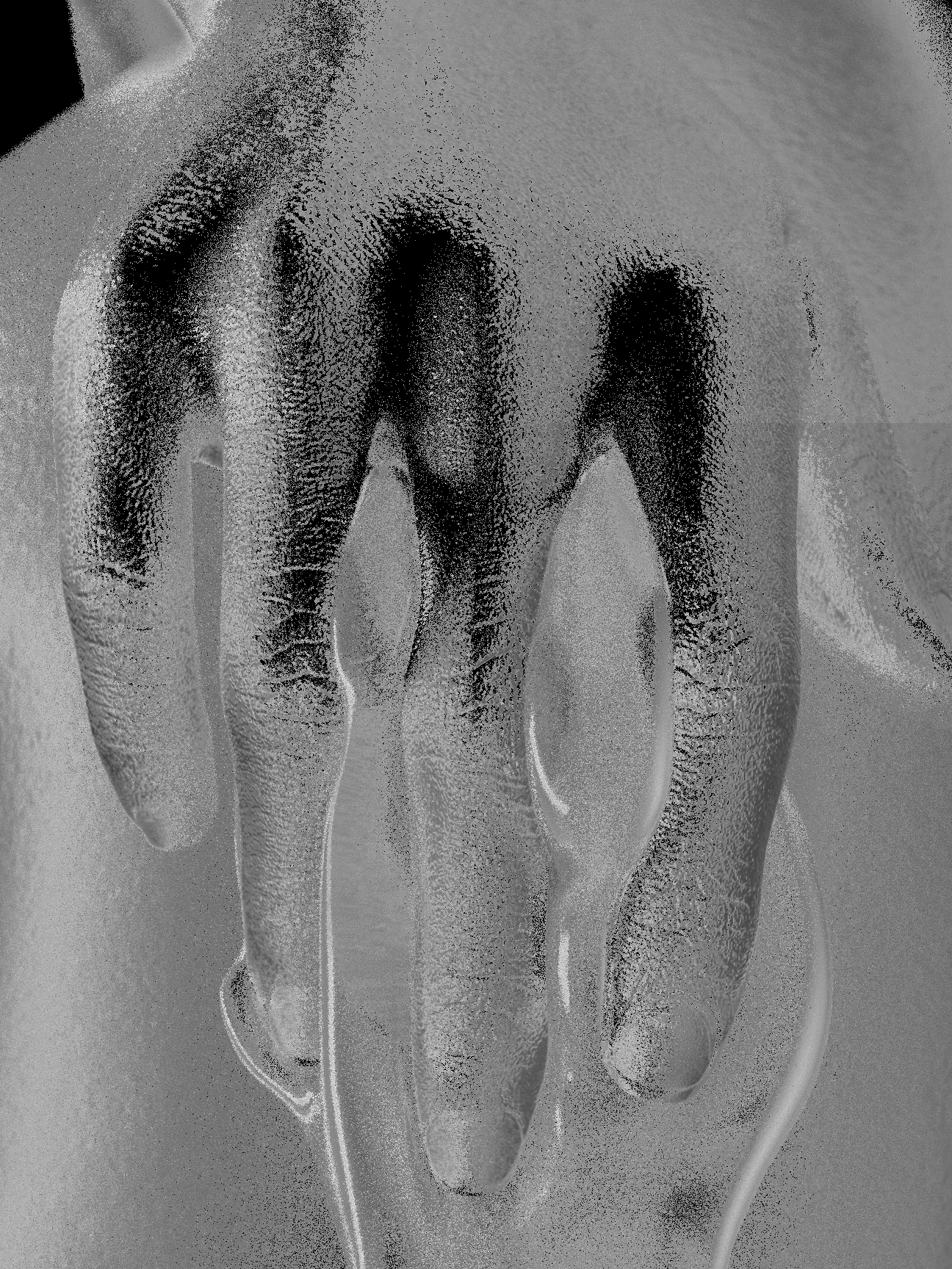 T_HAND8LQD.png