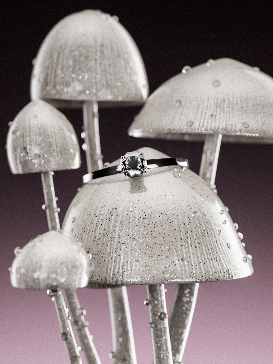2604_DR_SHROOM_MAIN2_4-5.jpg