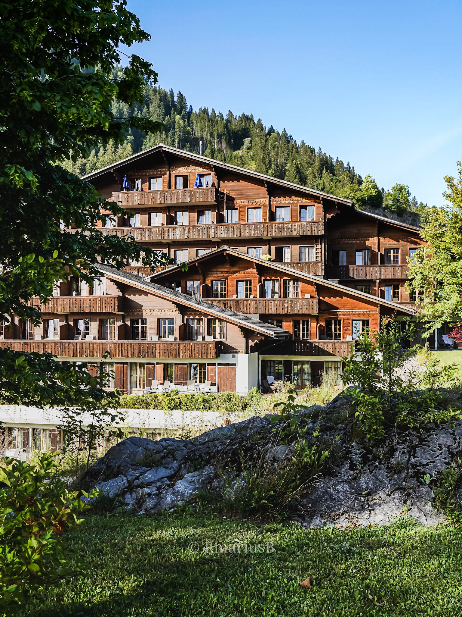 RmariusB for Huus Gstaad 7.jpg