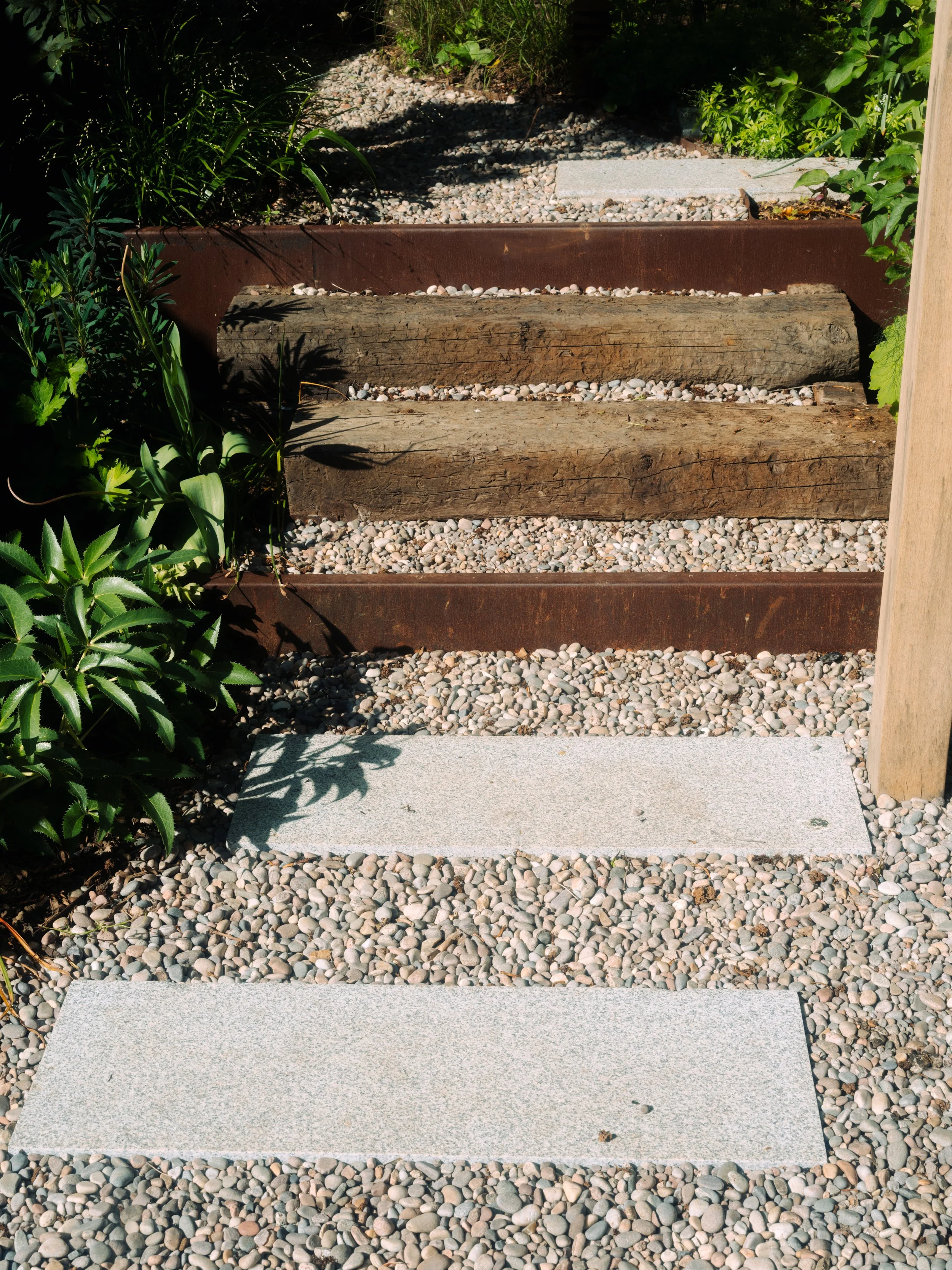 _DSF4362.jpg