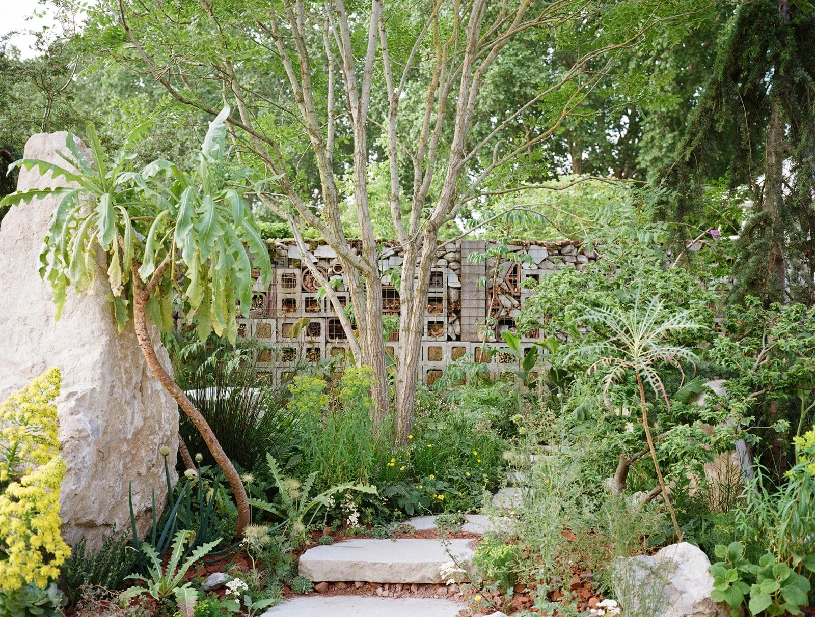 48540009.jpg