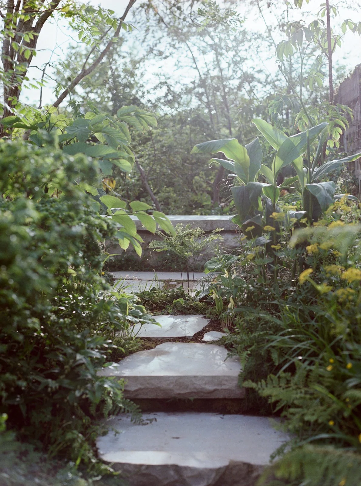 48550001.jpg